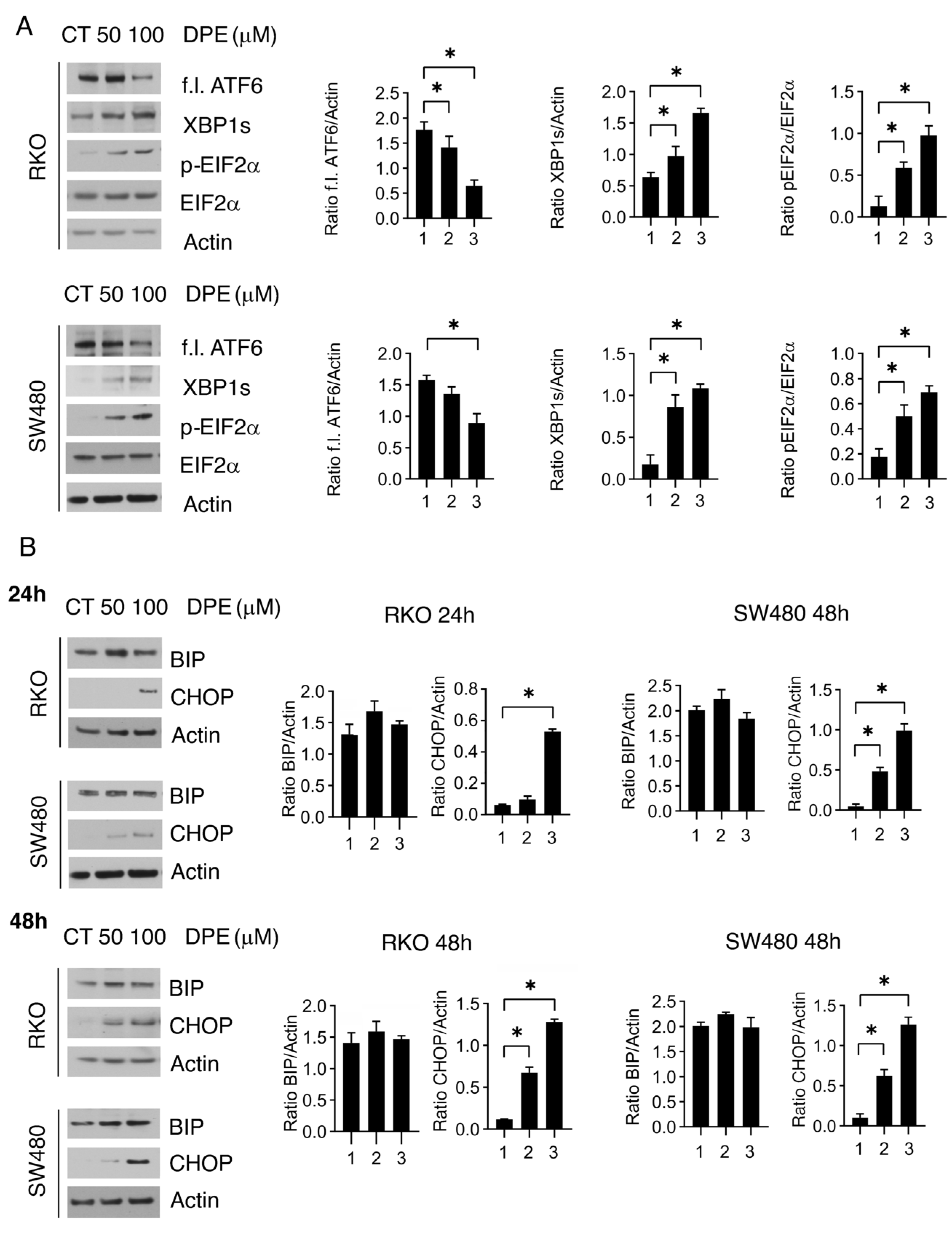 Biomedicines 09 01262 g002