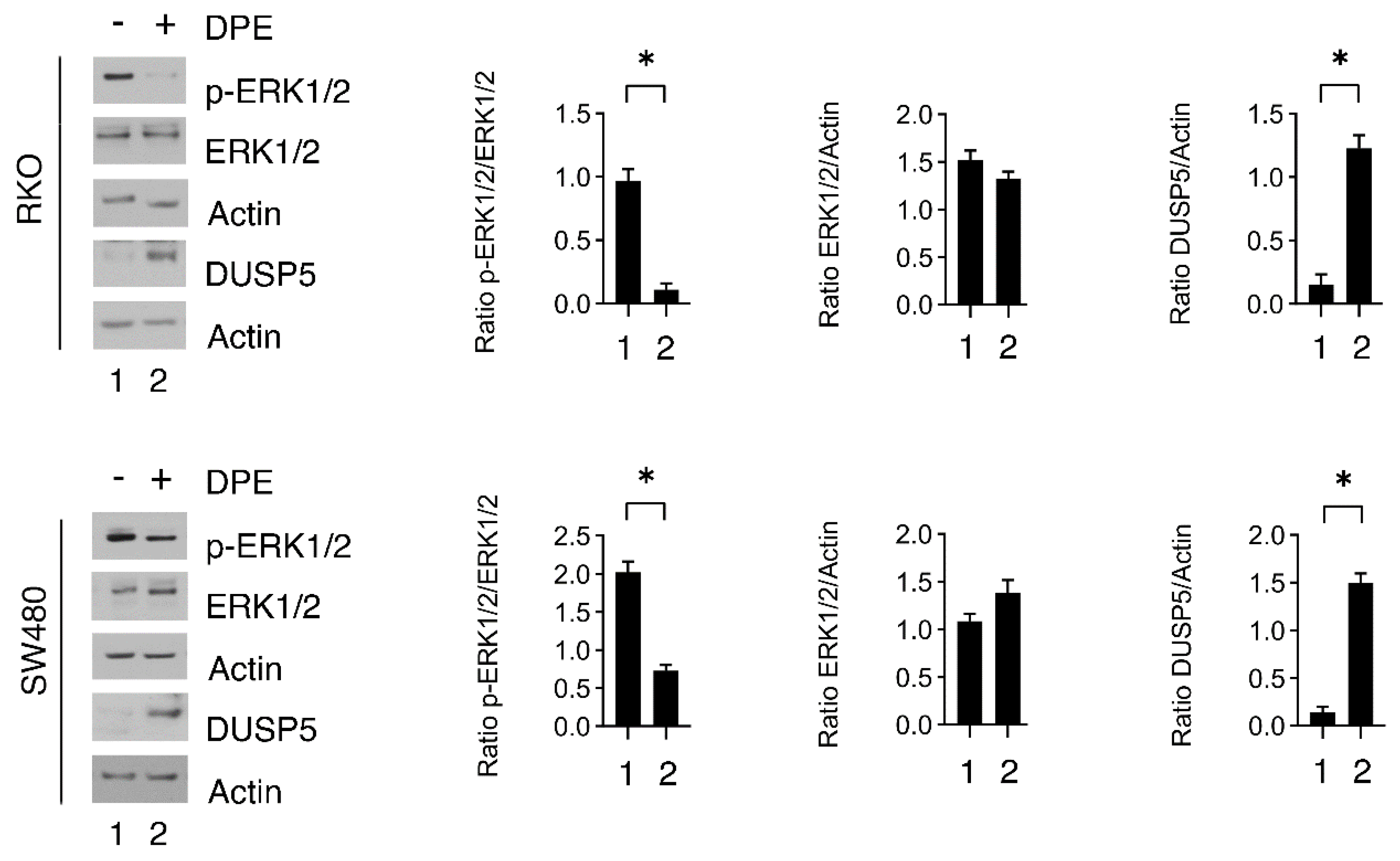 Biomedicines 09 01262 g003