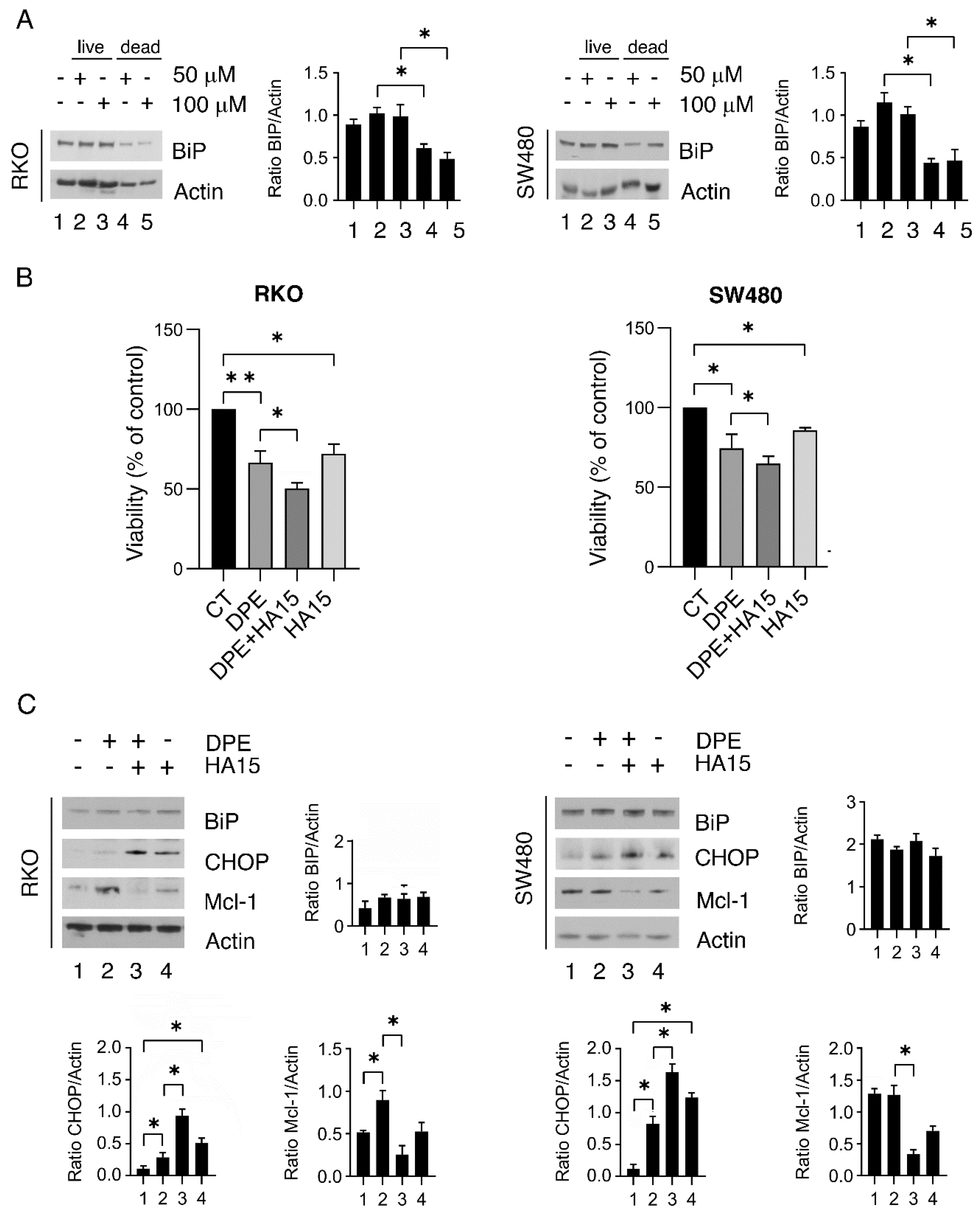 Biomedicines 09 01262 g004