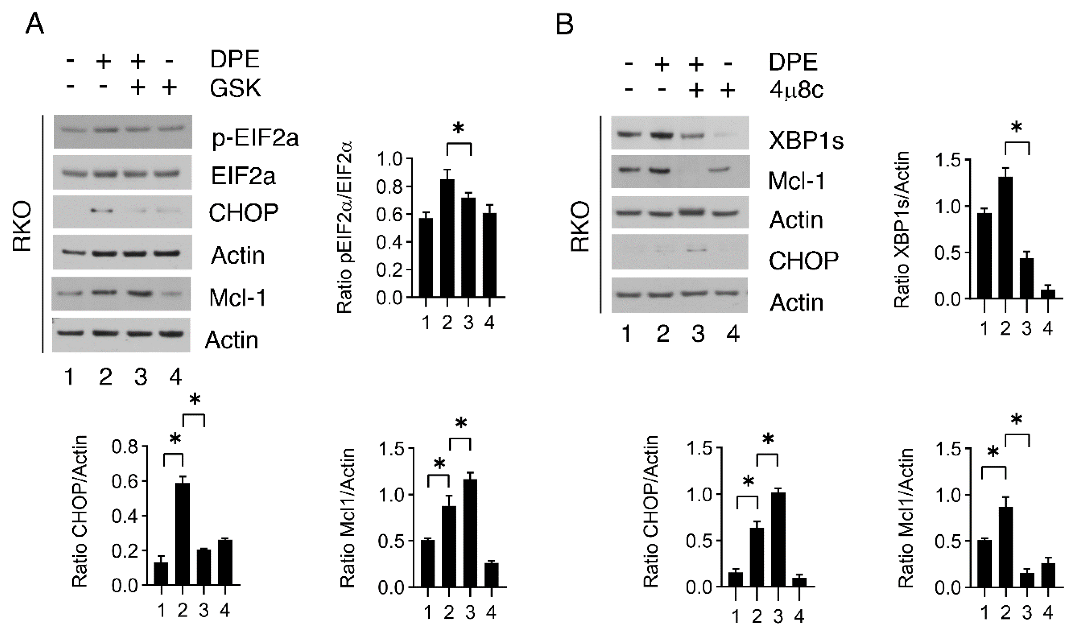Biomedicines 09 01262 g006