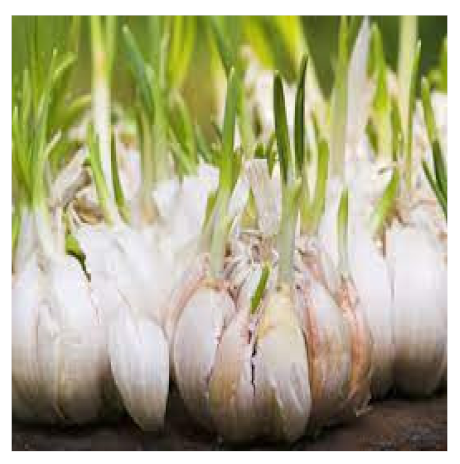 Biomedicines 09 01266 i005