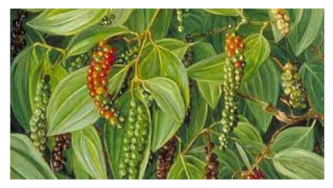 Biomedicines 09 01266 i009