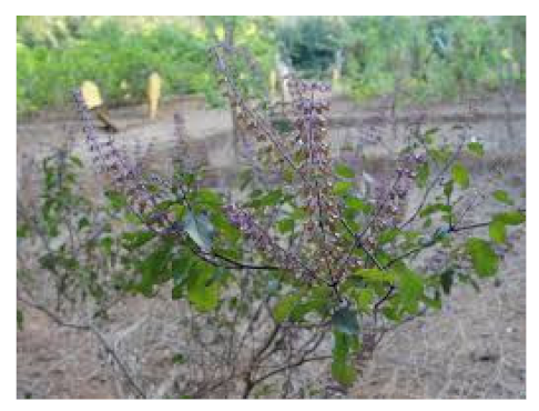 Biomedicines 09 01266 i015