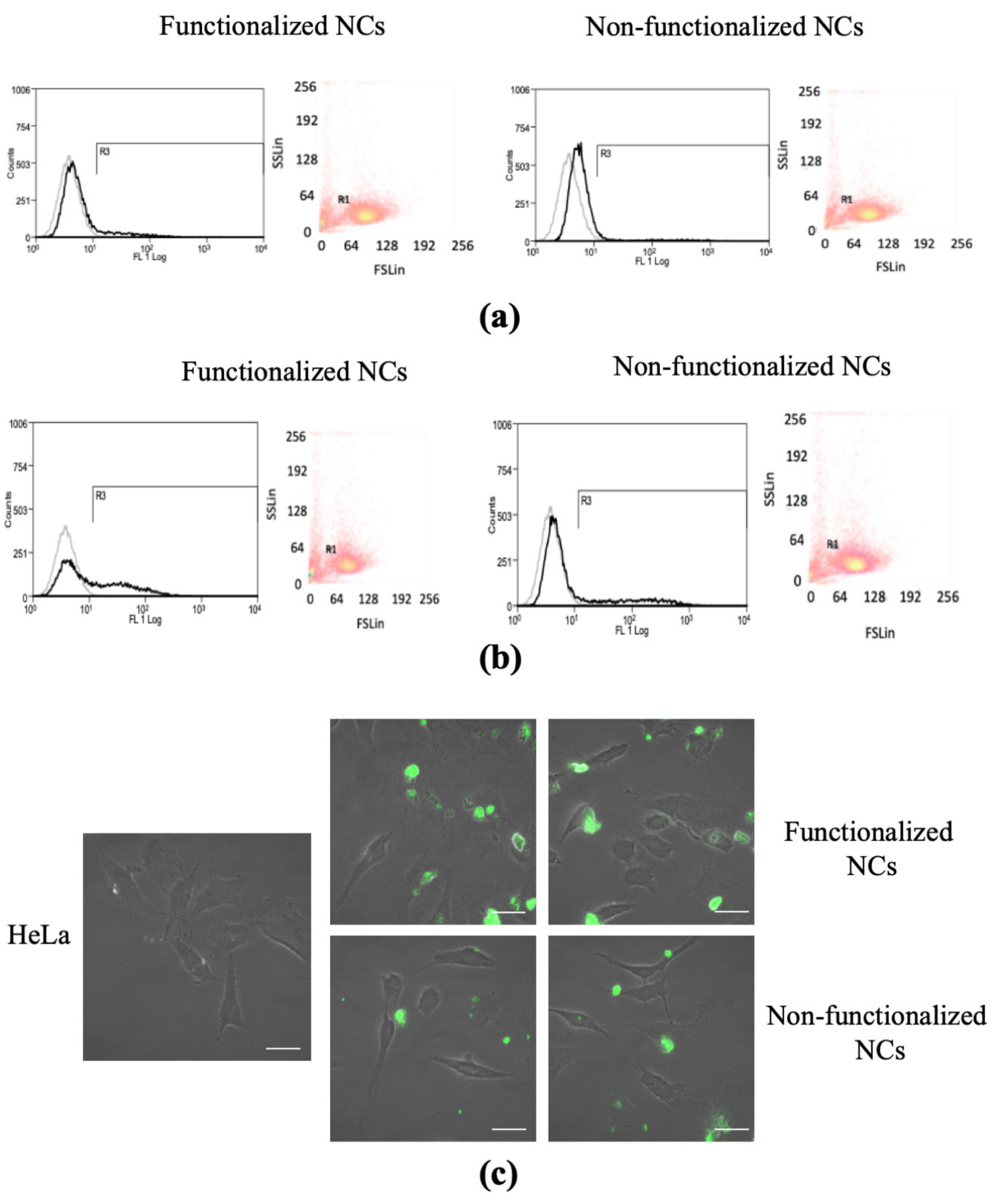 Biomedicines 09 01275 g006