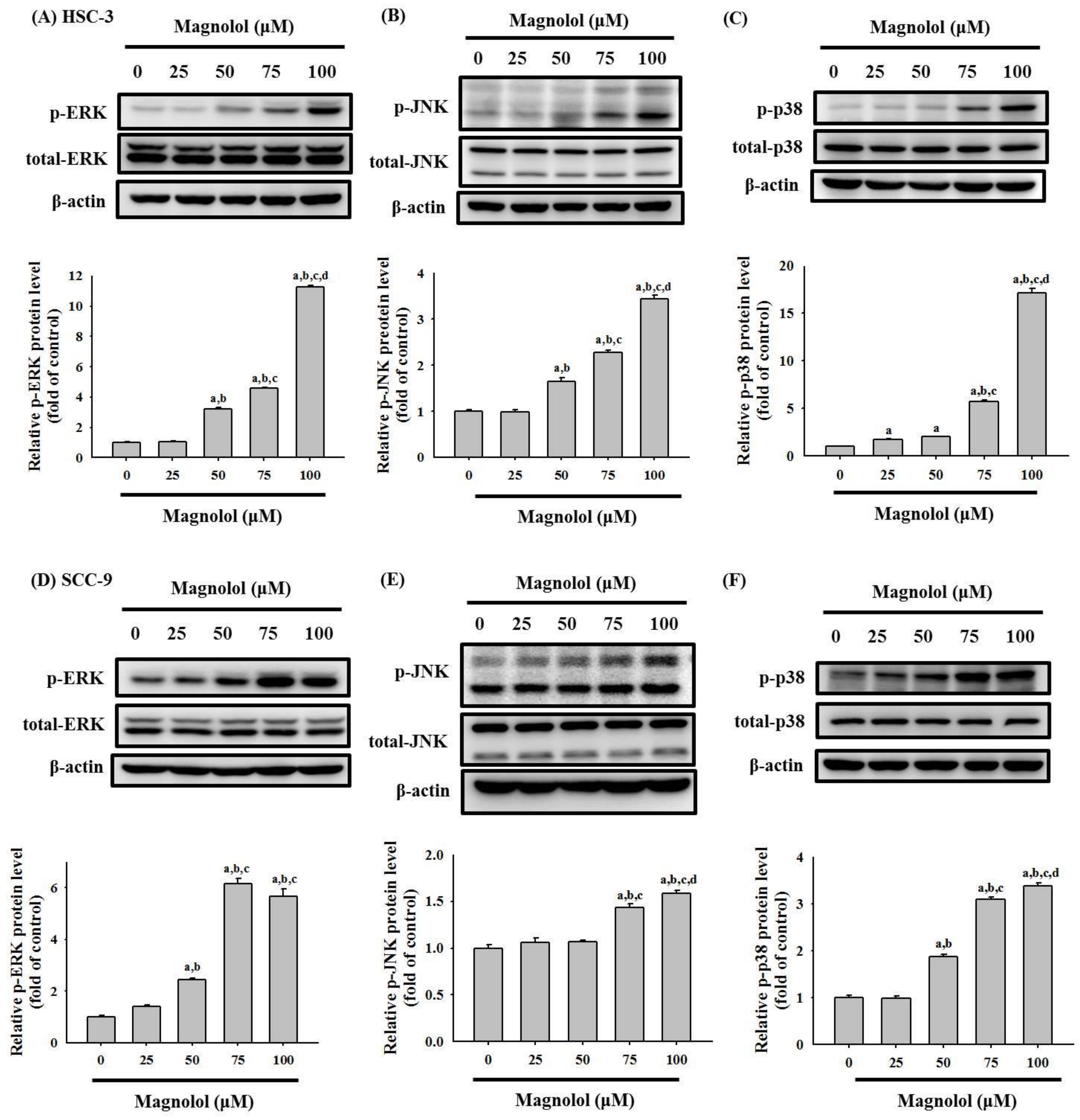 Biomedicines 09 01295 g006