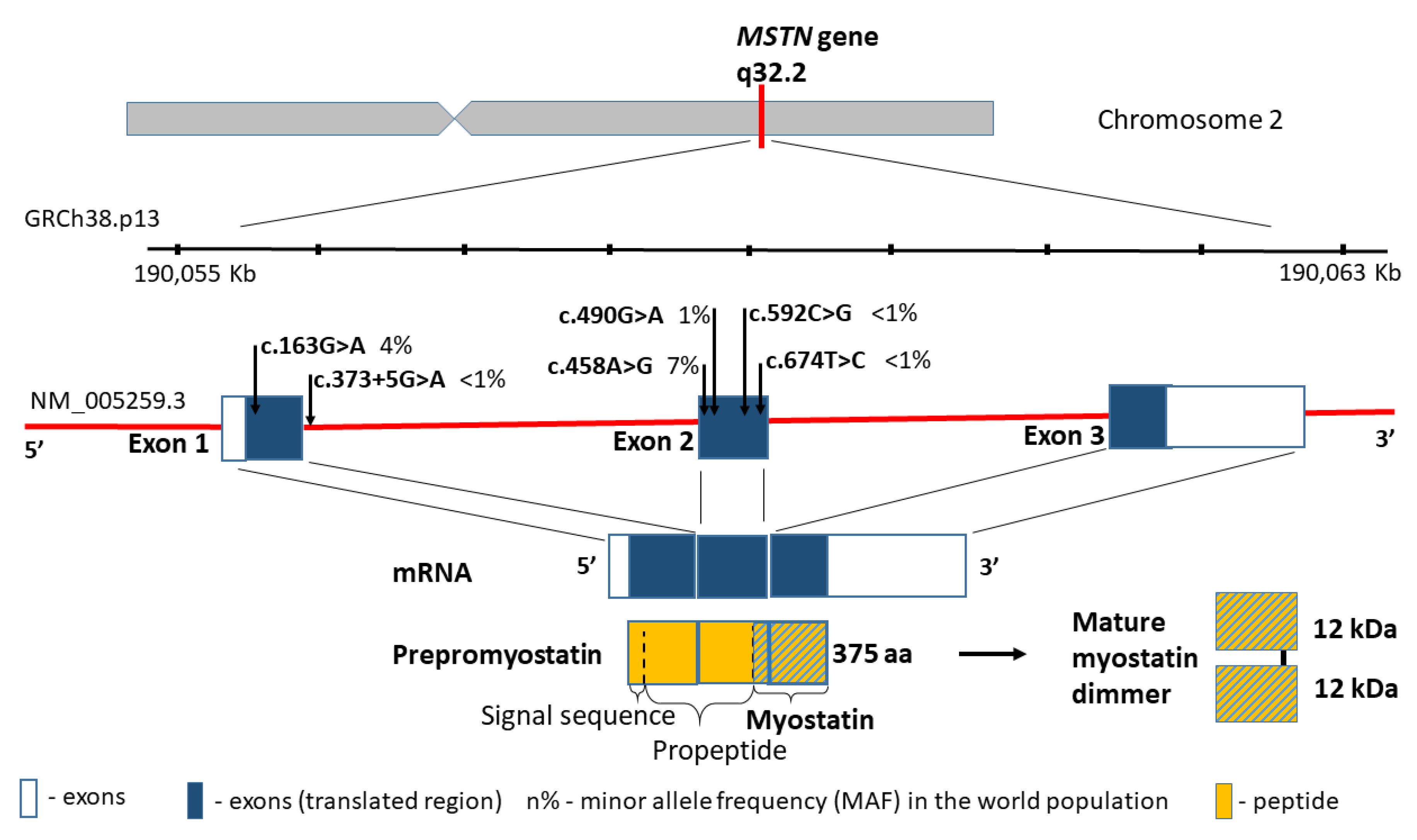 Biomedicines 09 01301 g002