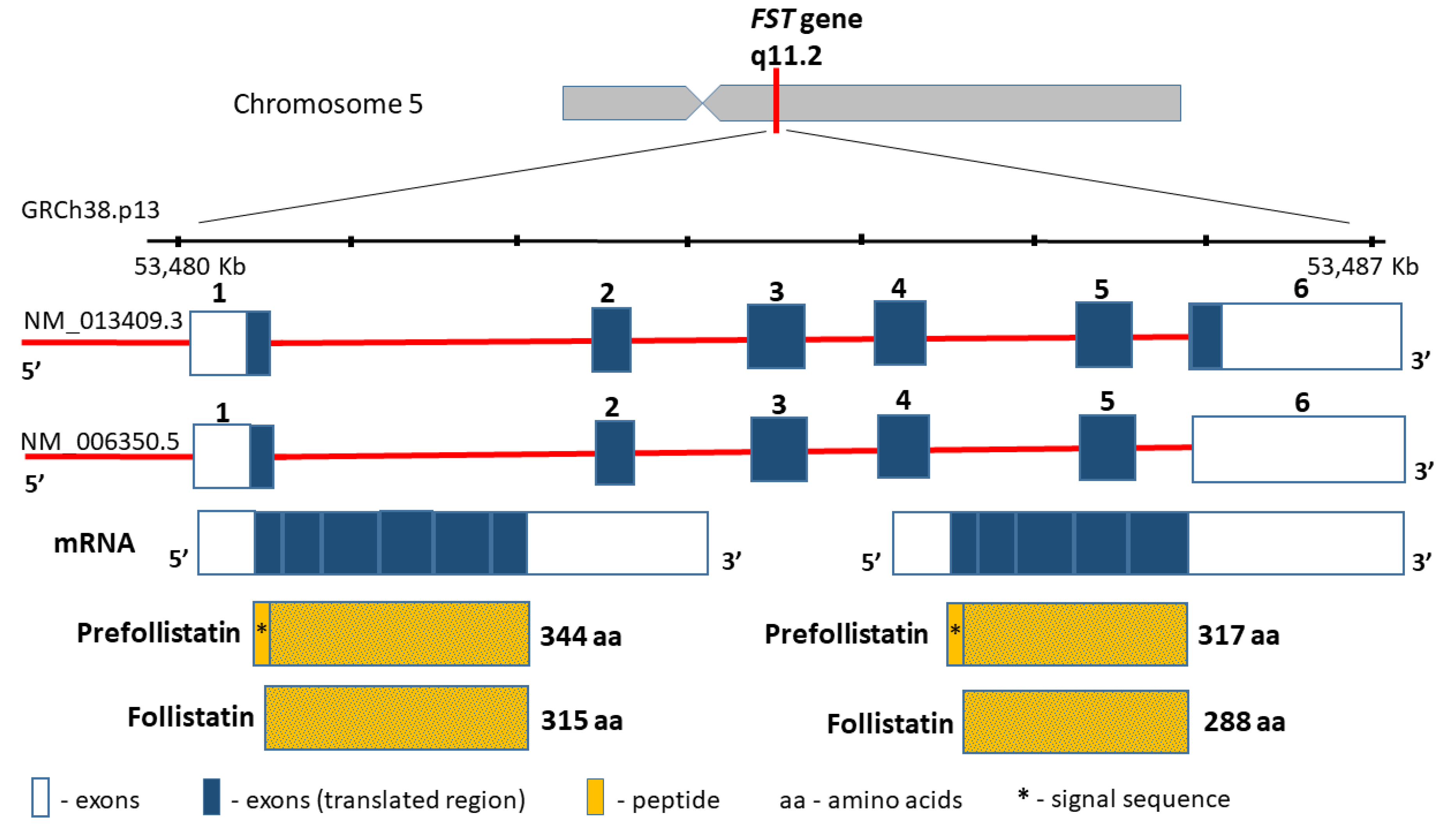 Biomedicines 09 01301 g003