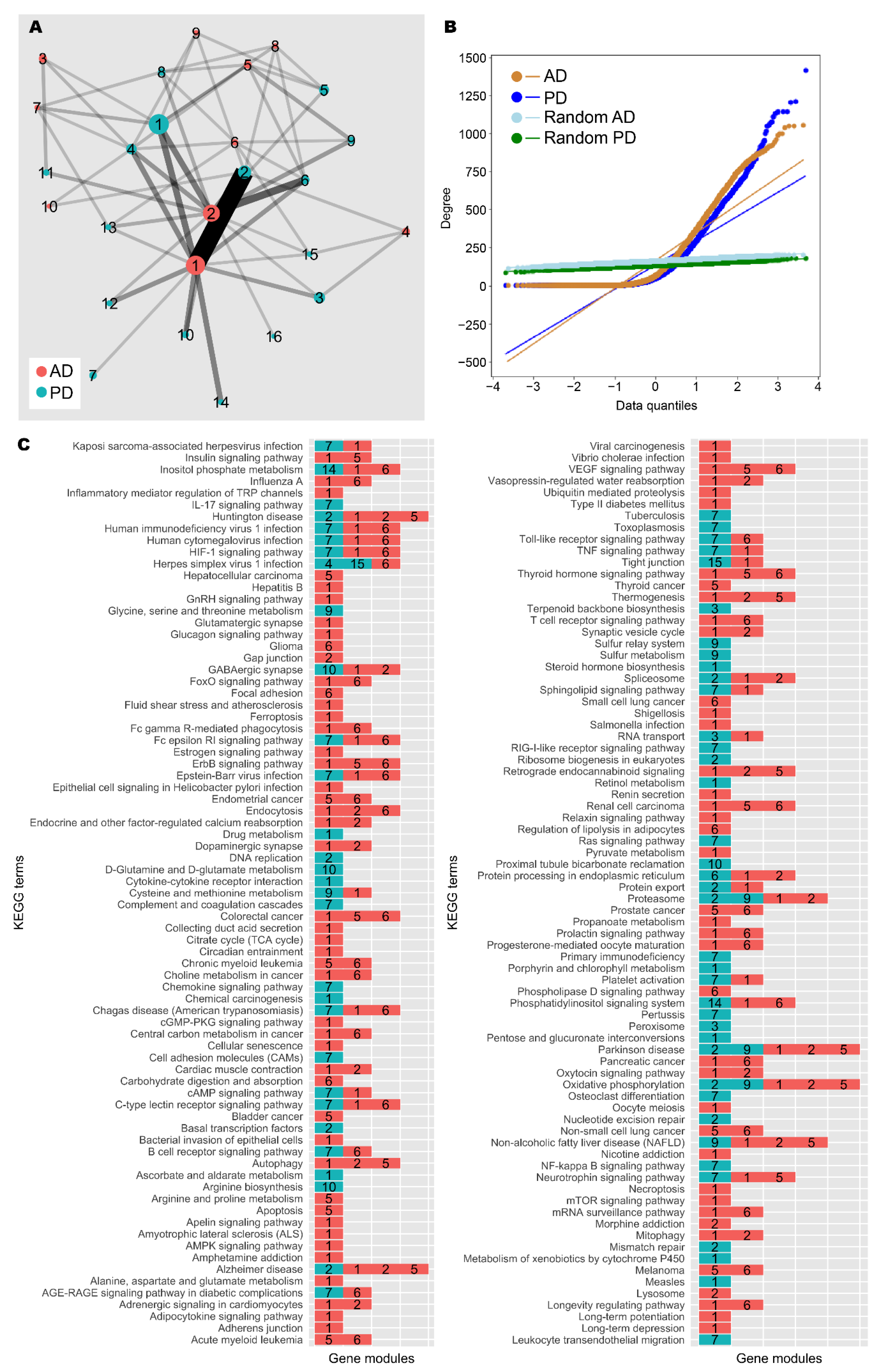 Biomedicines 09 01310 g004