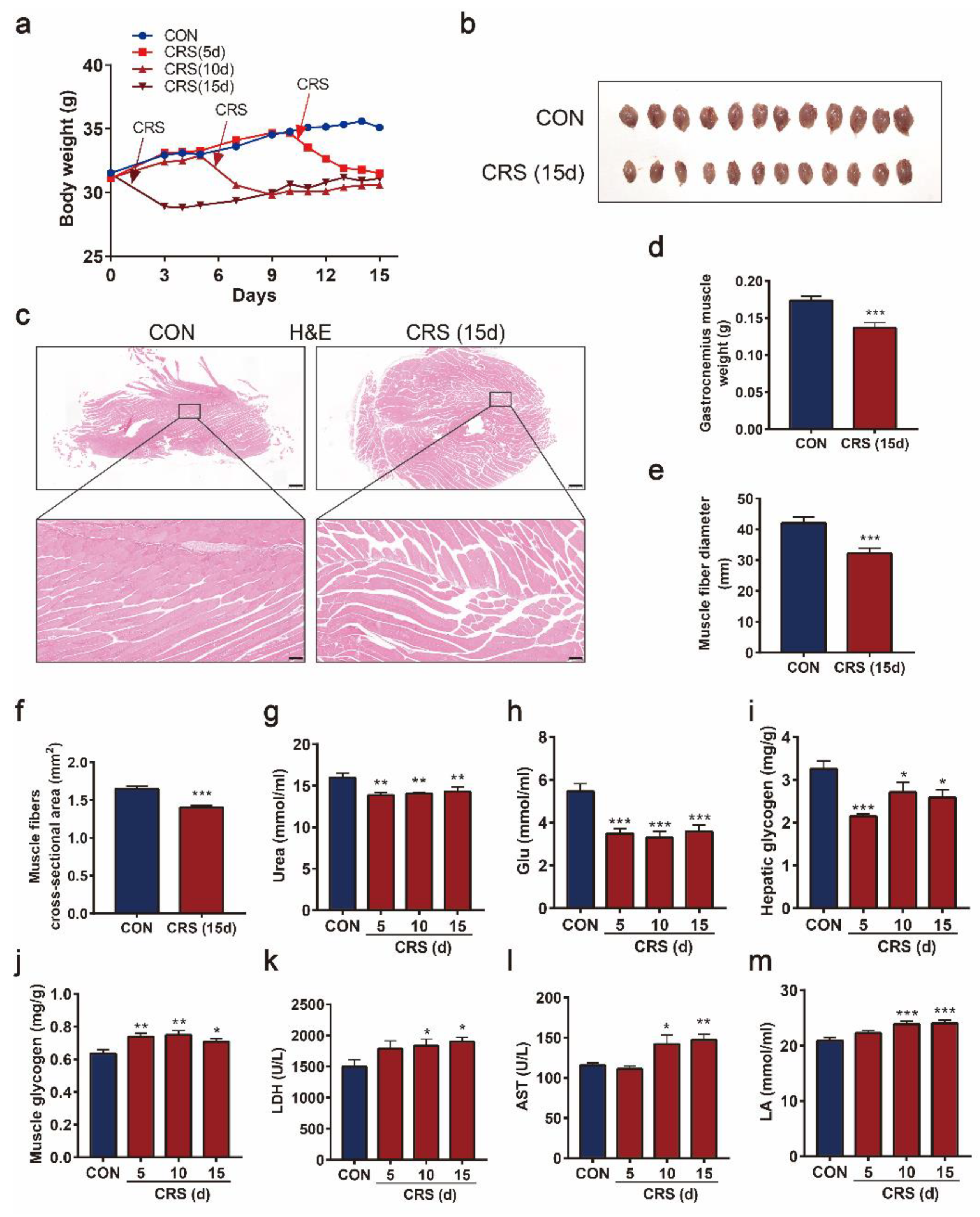 Biomedicines 09 01321 g003