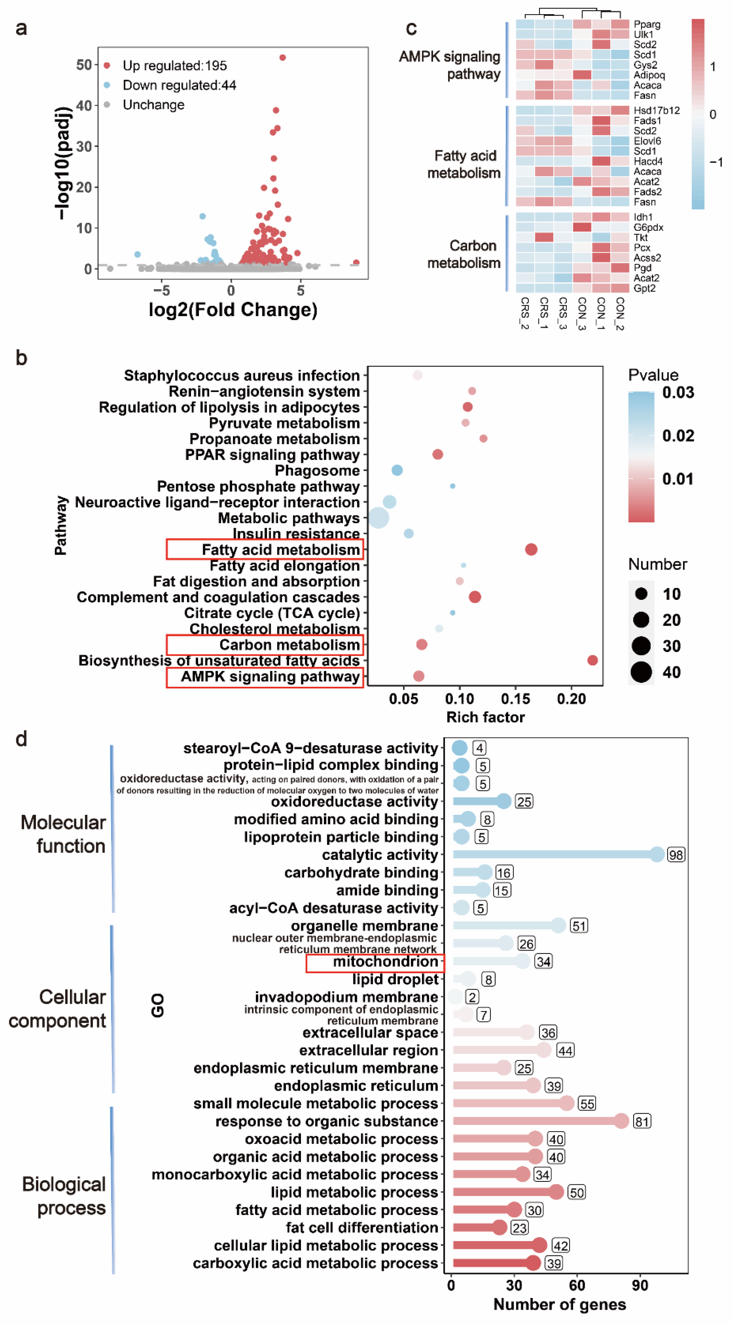 Biomedicines 09 01321 g004