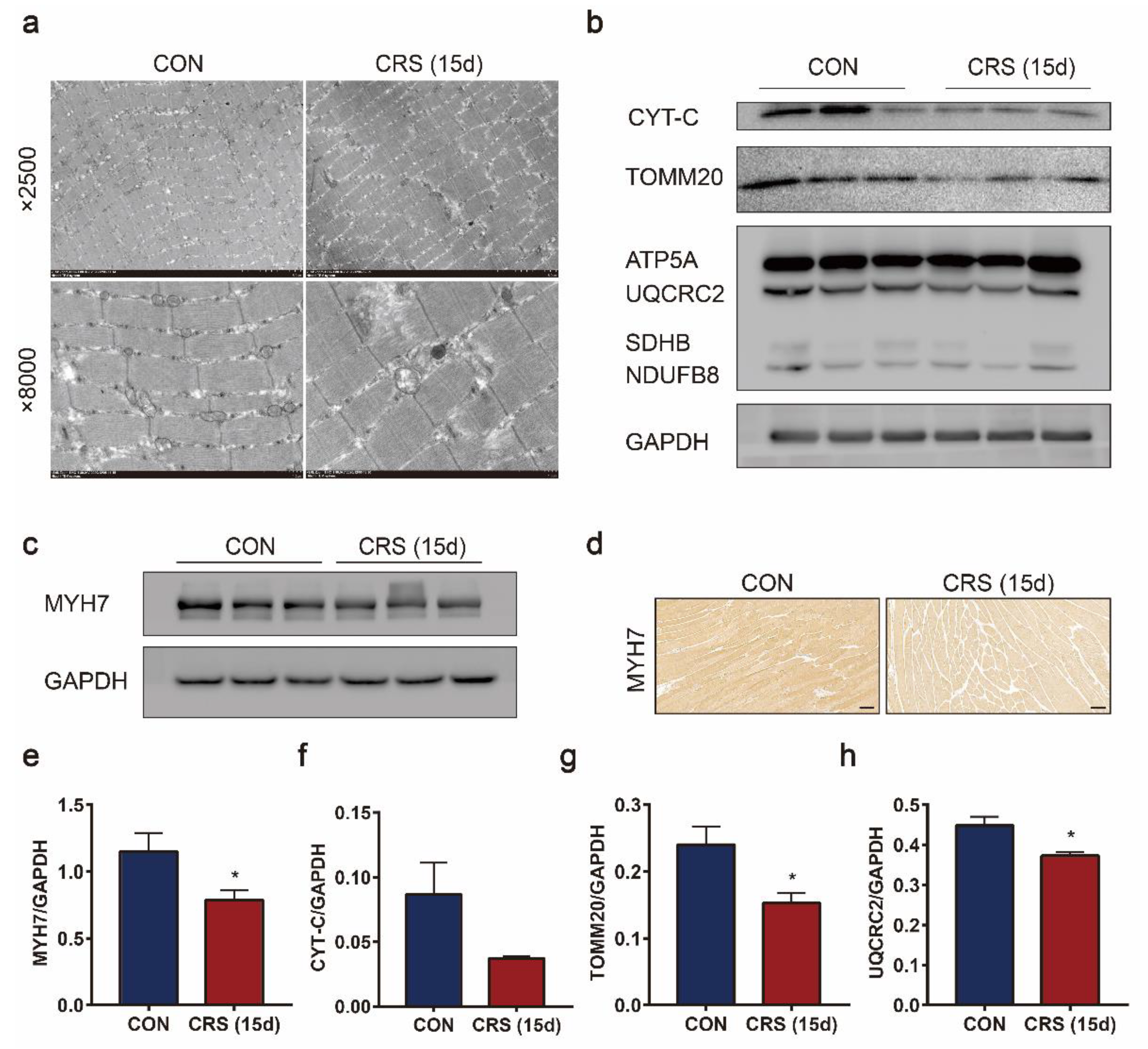 Biomedicines 09 01321 g005