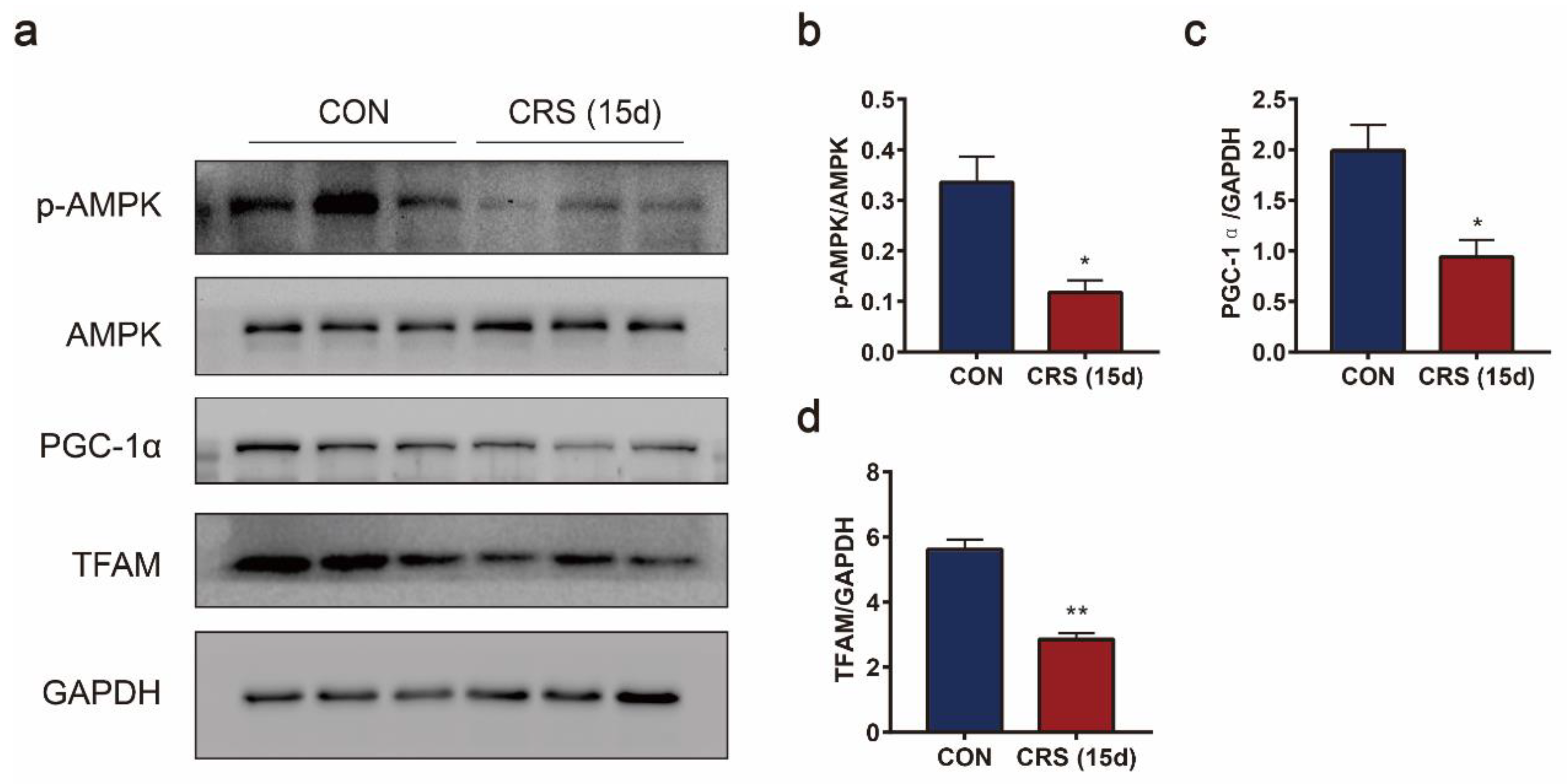 Biomedicines 09 01321 g006