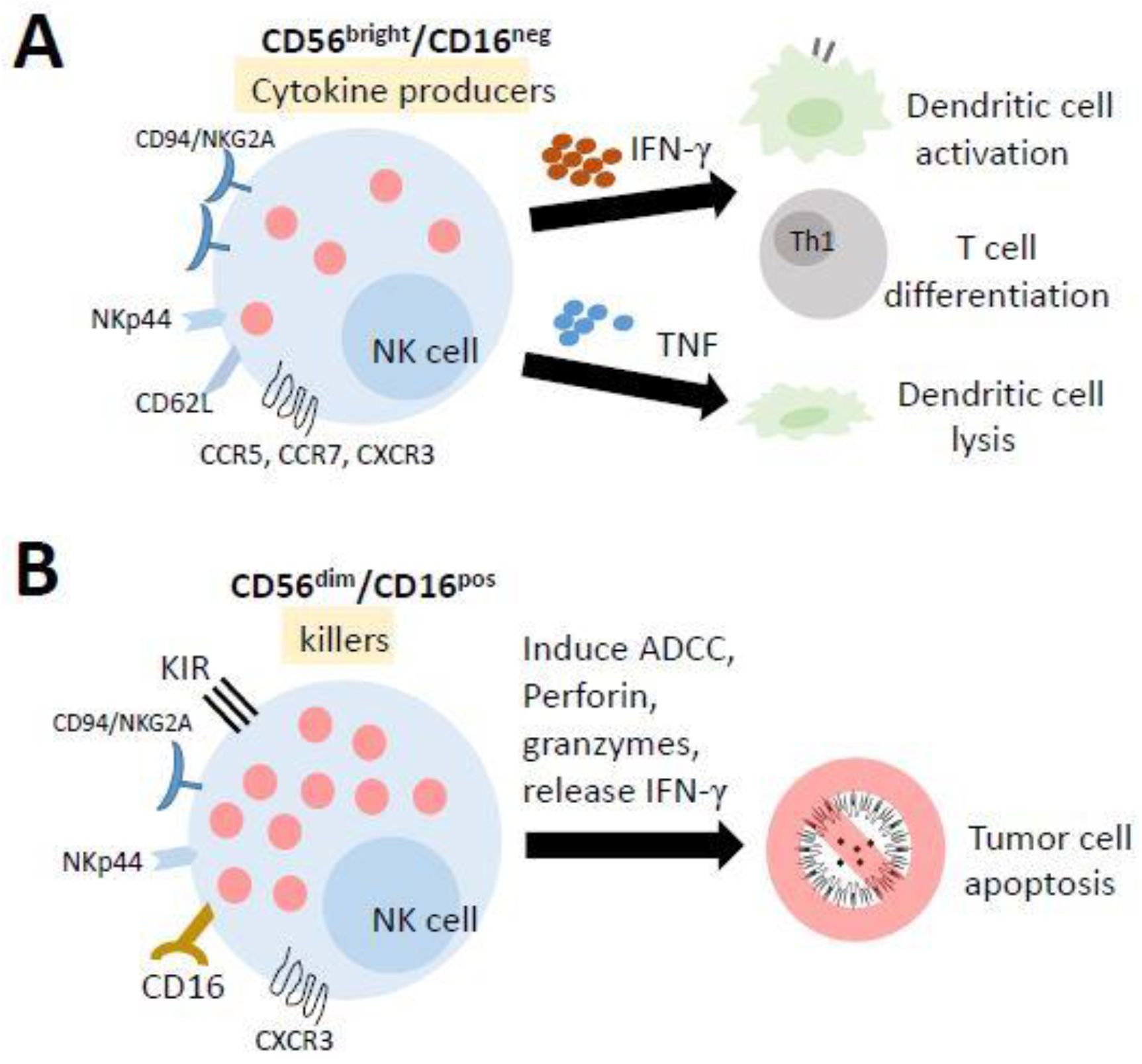 Biomedicines 09 01323 g003