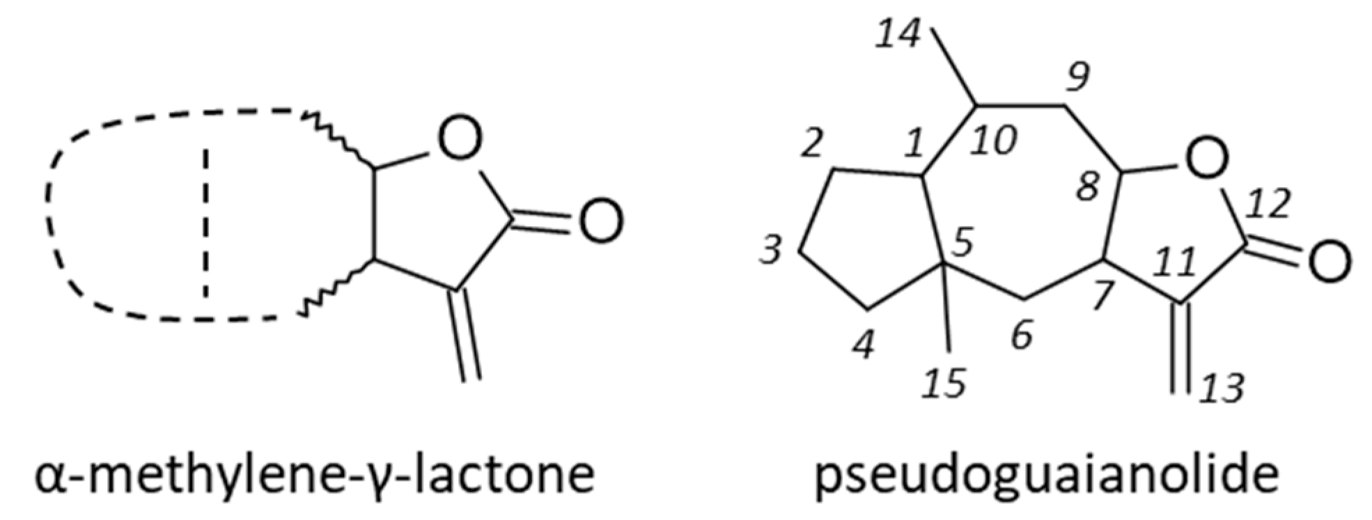 Biomedicines 09 01325 g001