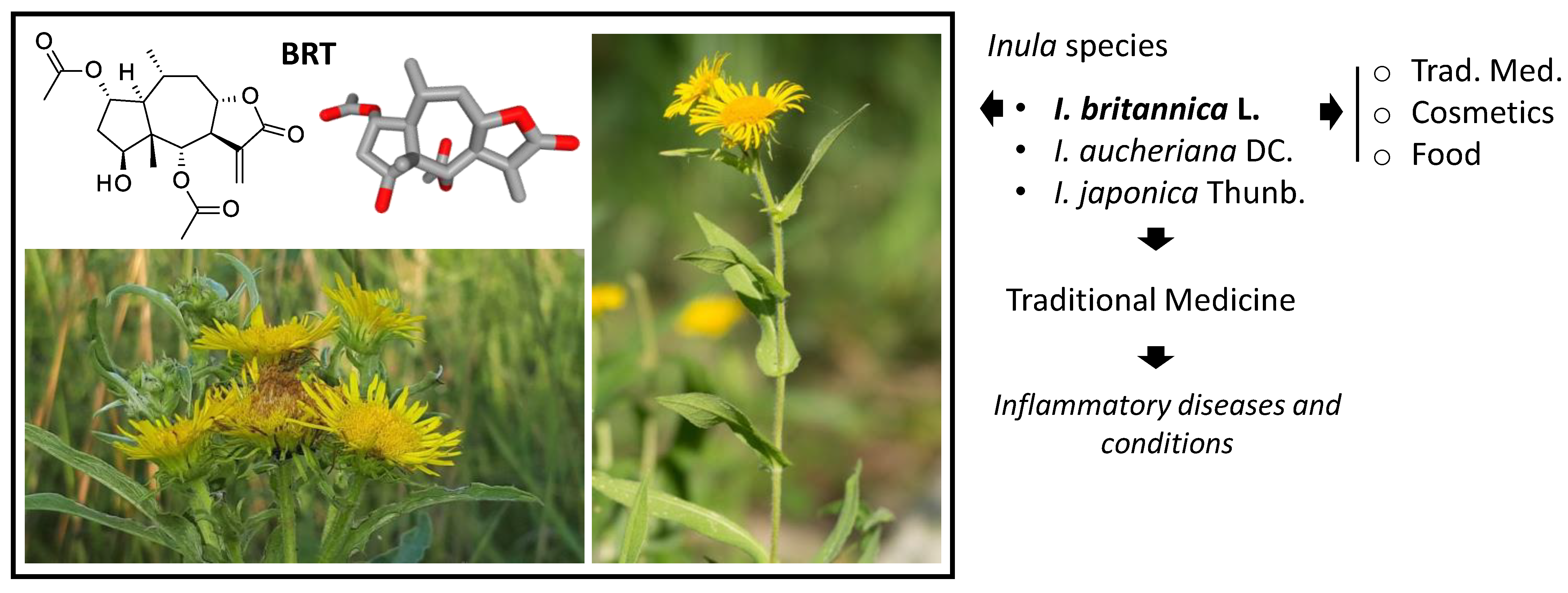 Biomedicines 09 01325 g002