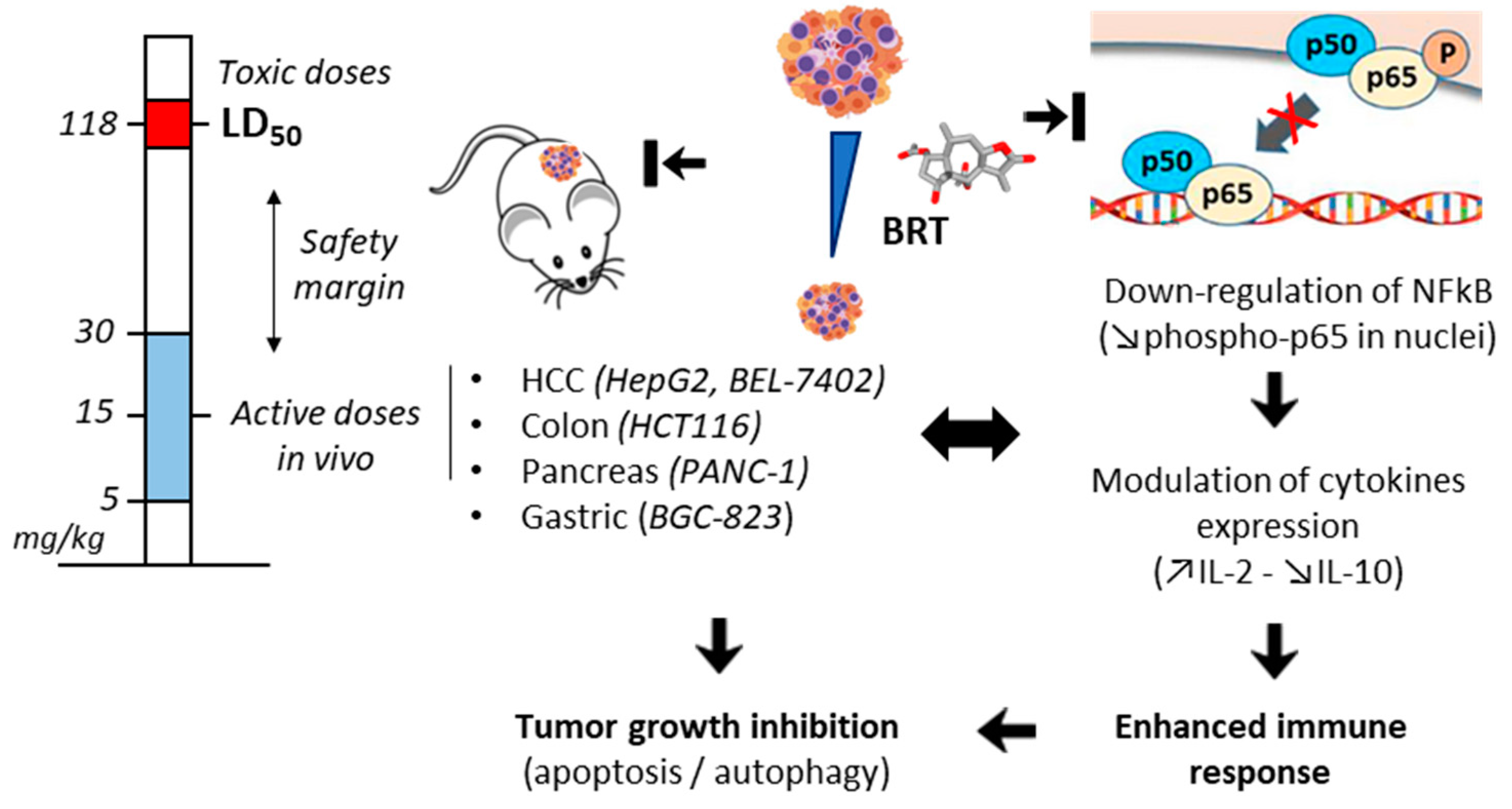Biomedicines 09 01325 g004