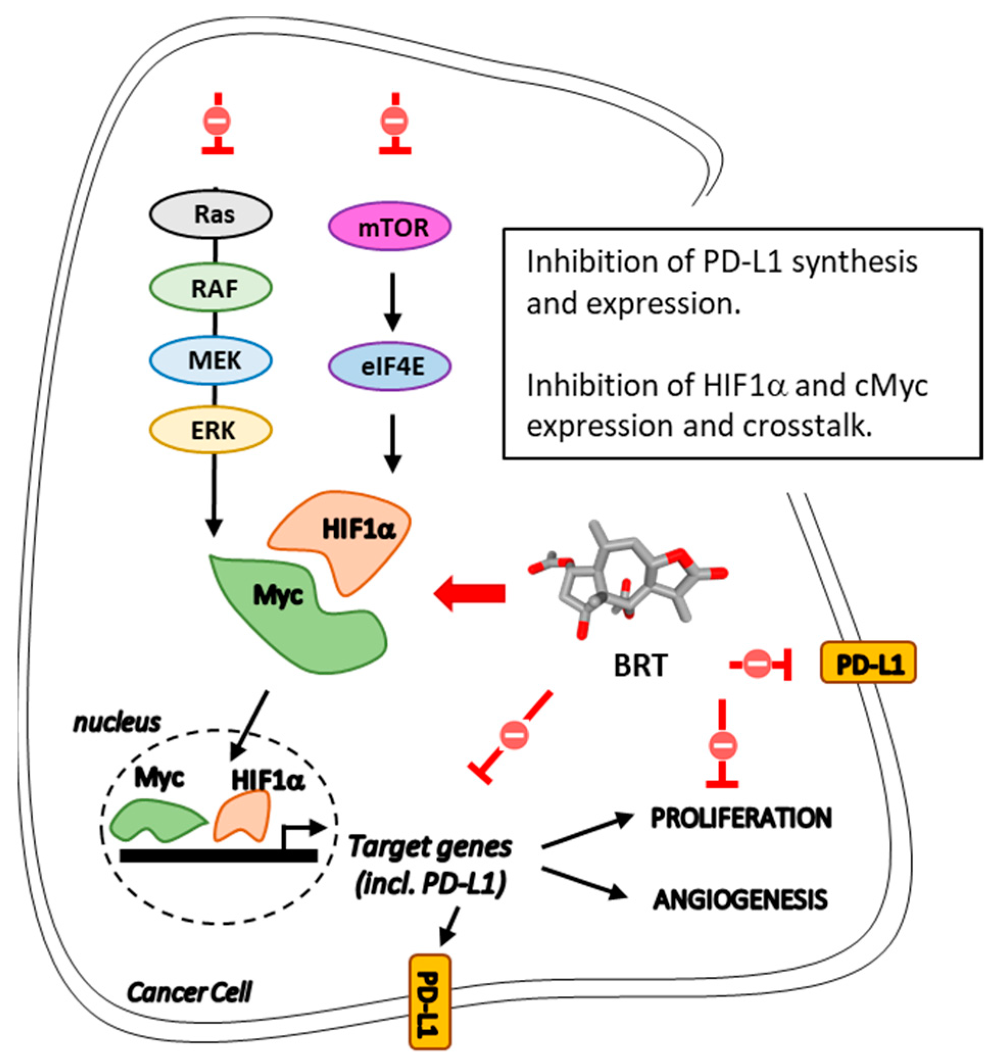 Biomedicines 09 01325 g006