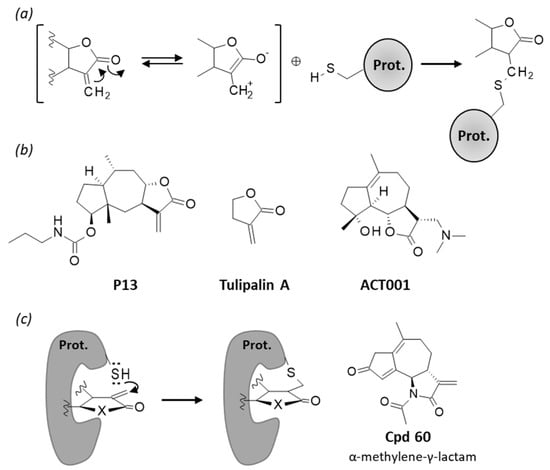 Biomedicines 09 01325 g008