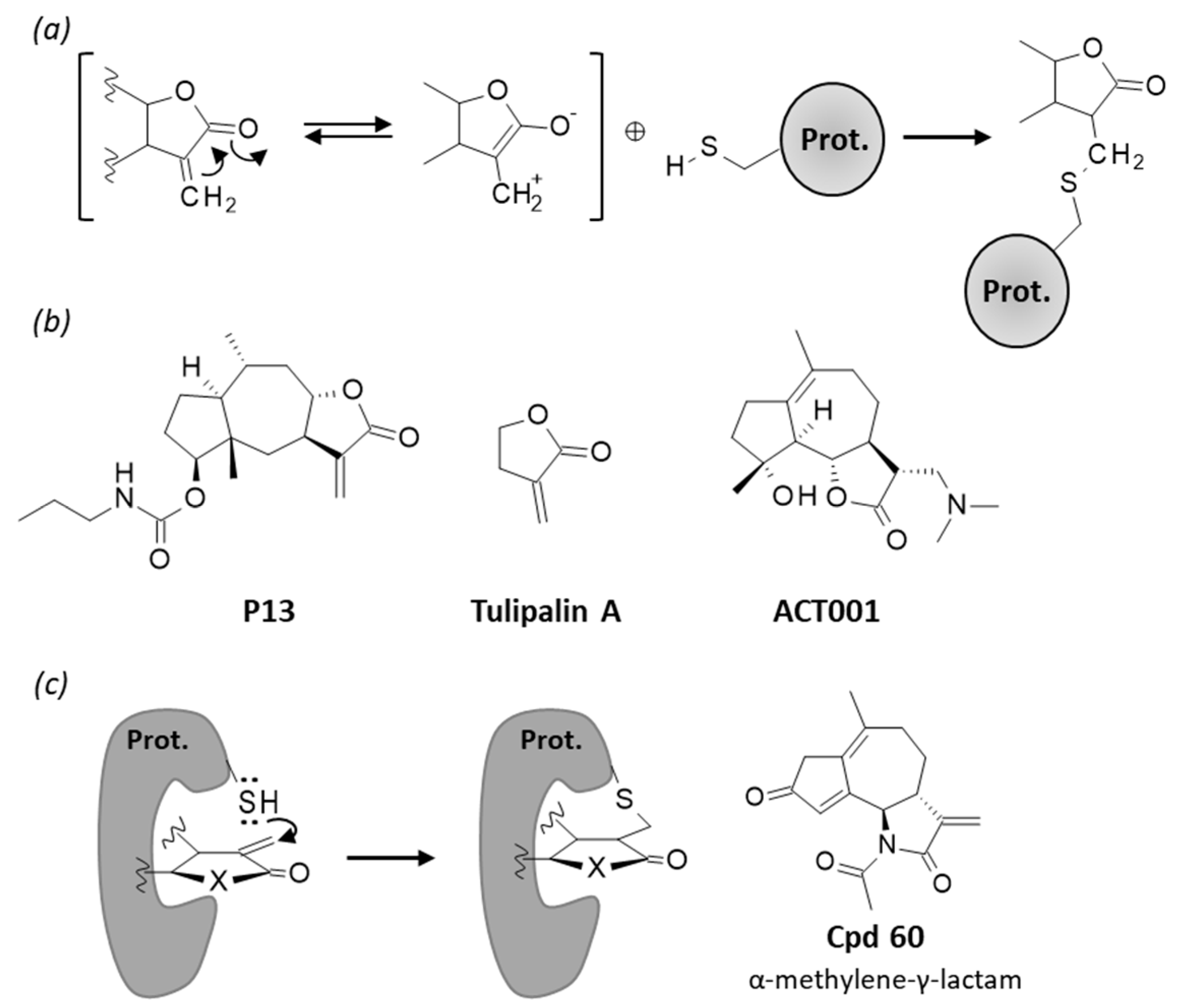 Biomedicines 09 01325 g008