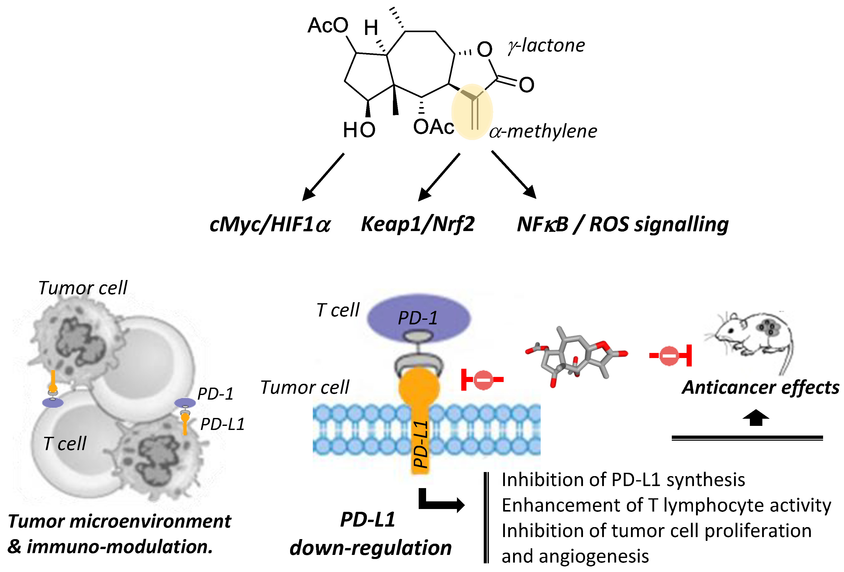Biomedicines 09 01325 g009