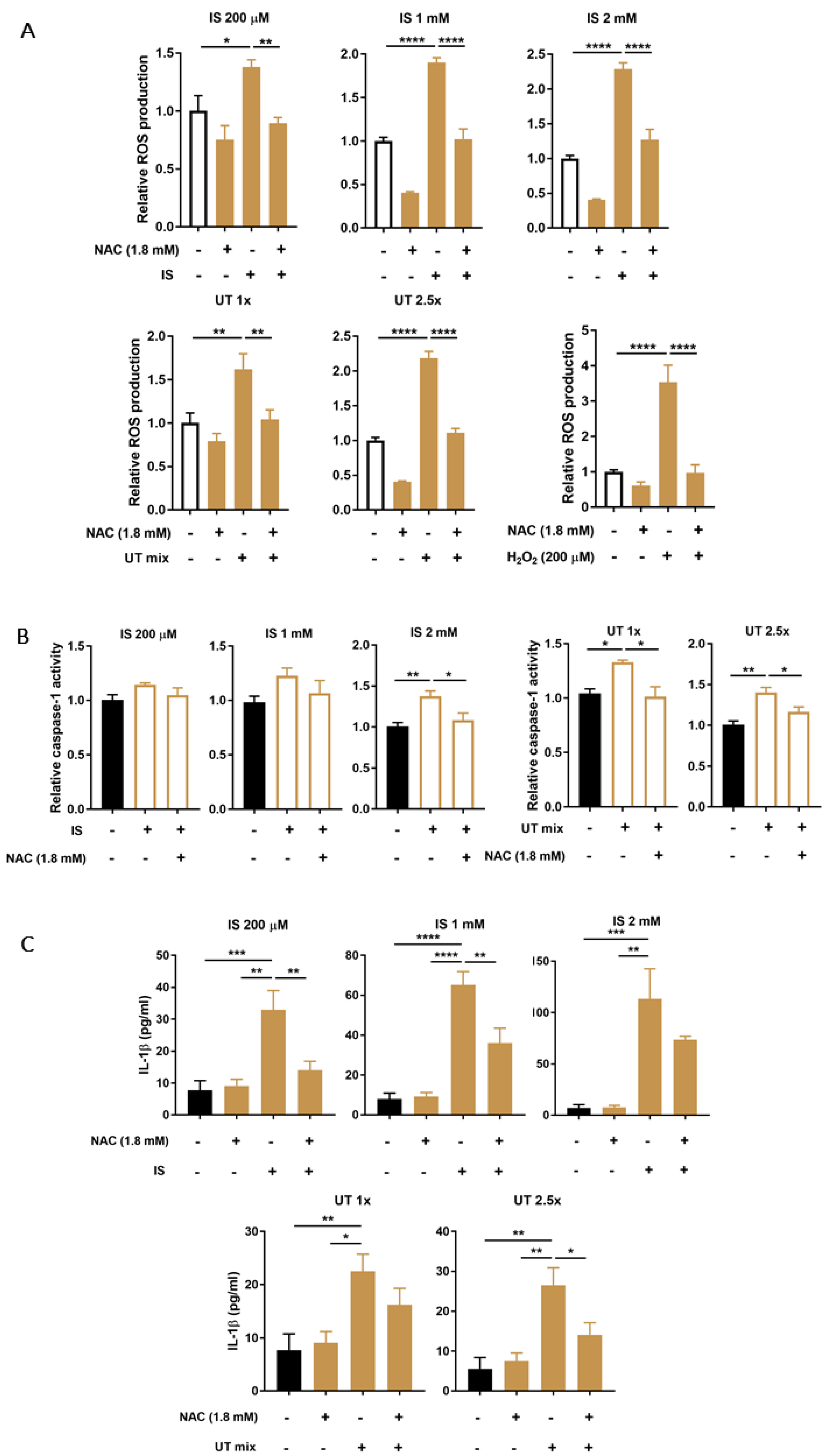 Biomedicines 09 01326 g004