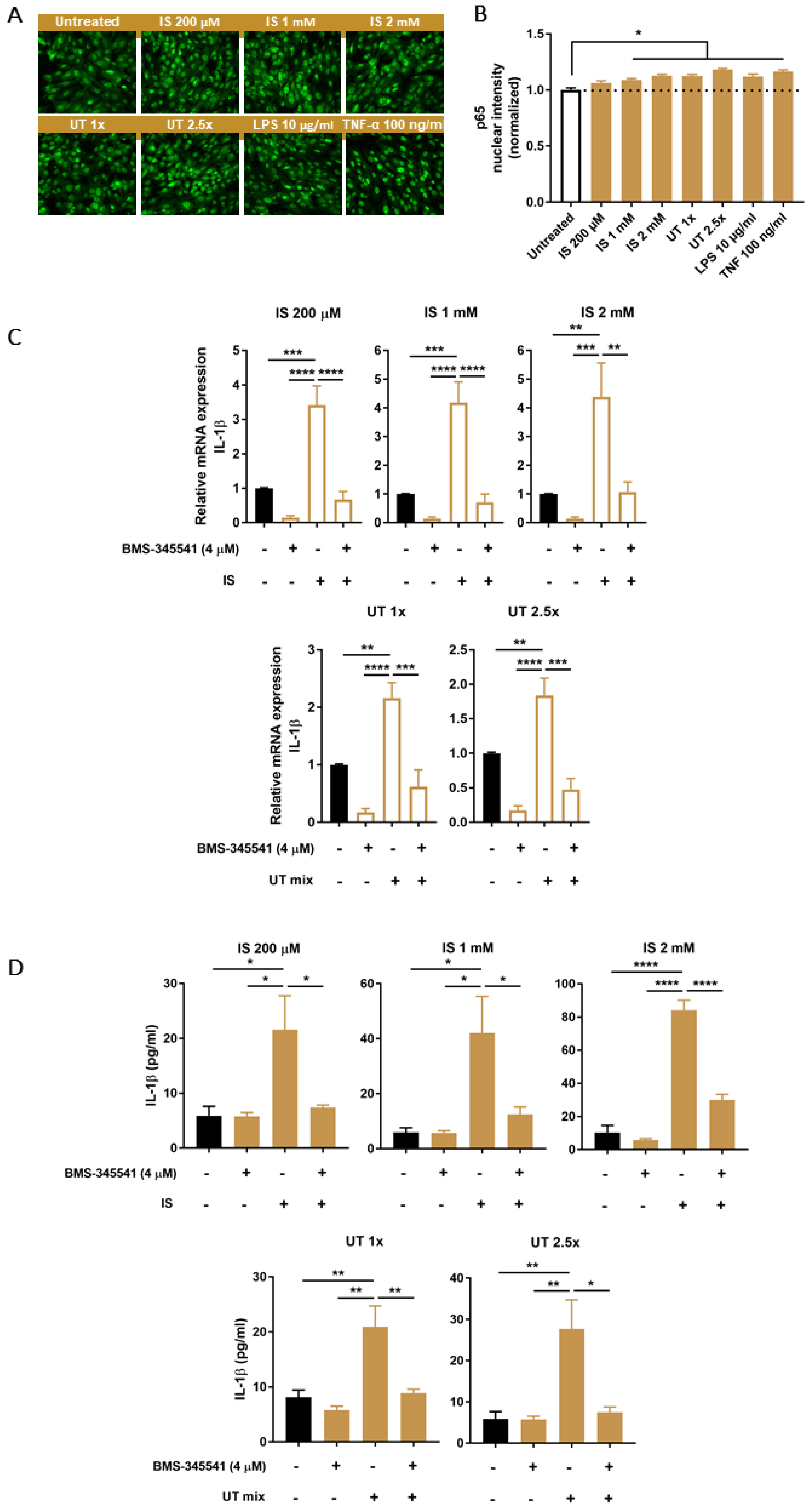 Biomedicines 09 01326 g005