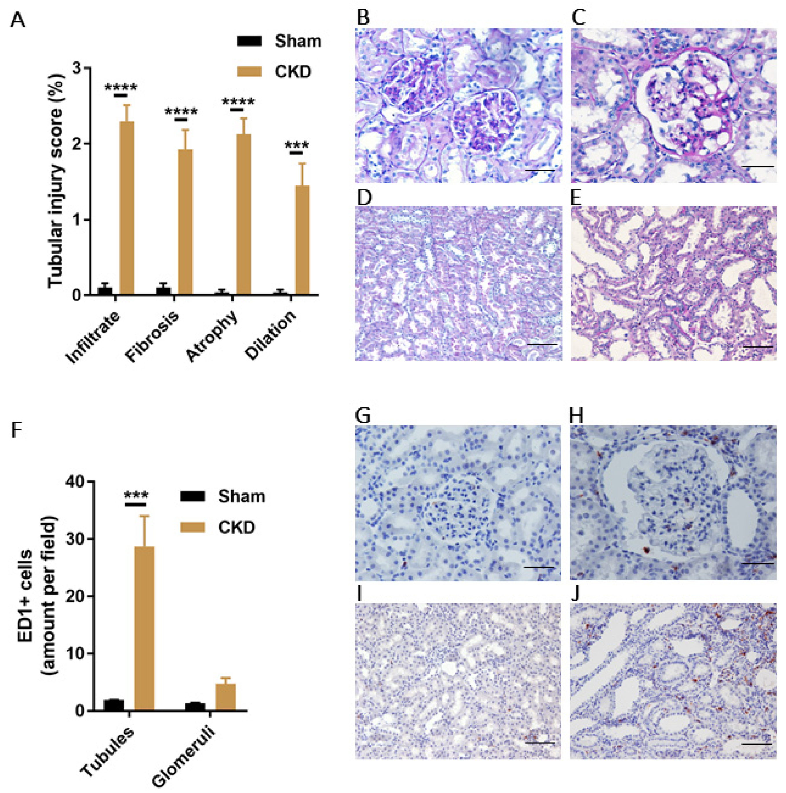Biomedicines 09 01326 g006