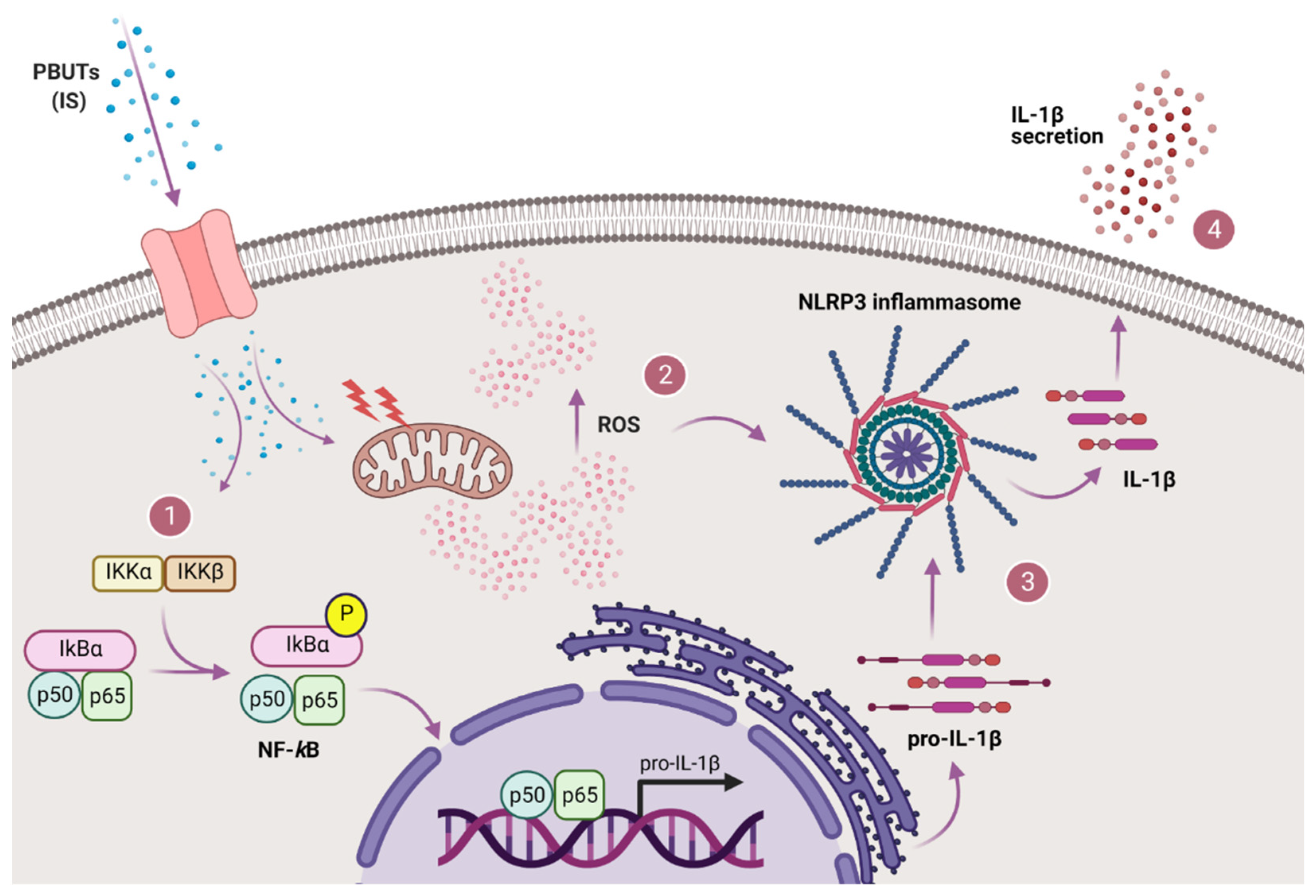 Biomedicines 09 01326 g008