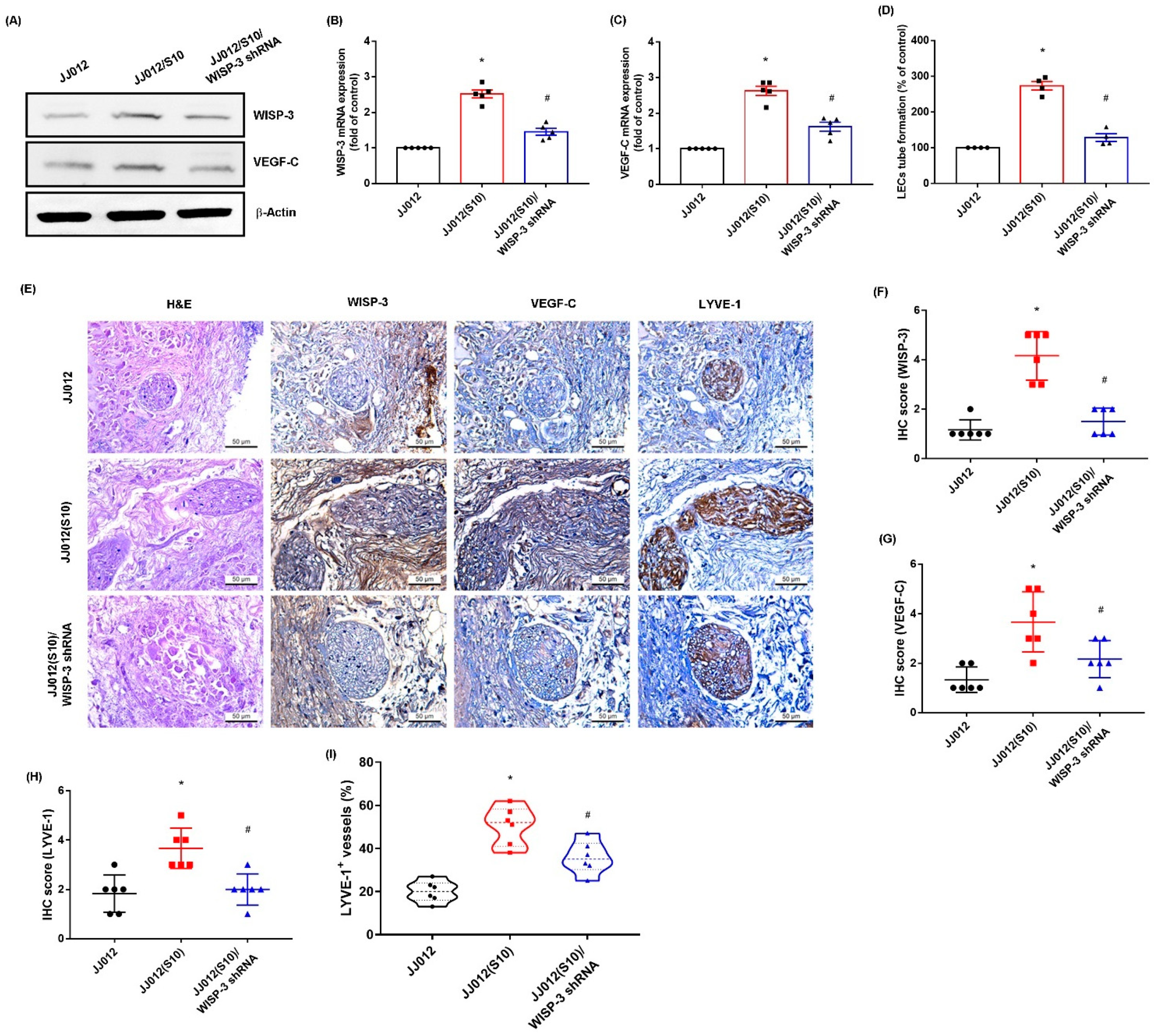 Biomedicines 09 01330 g006
