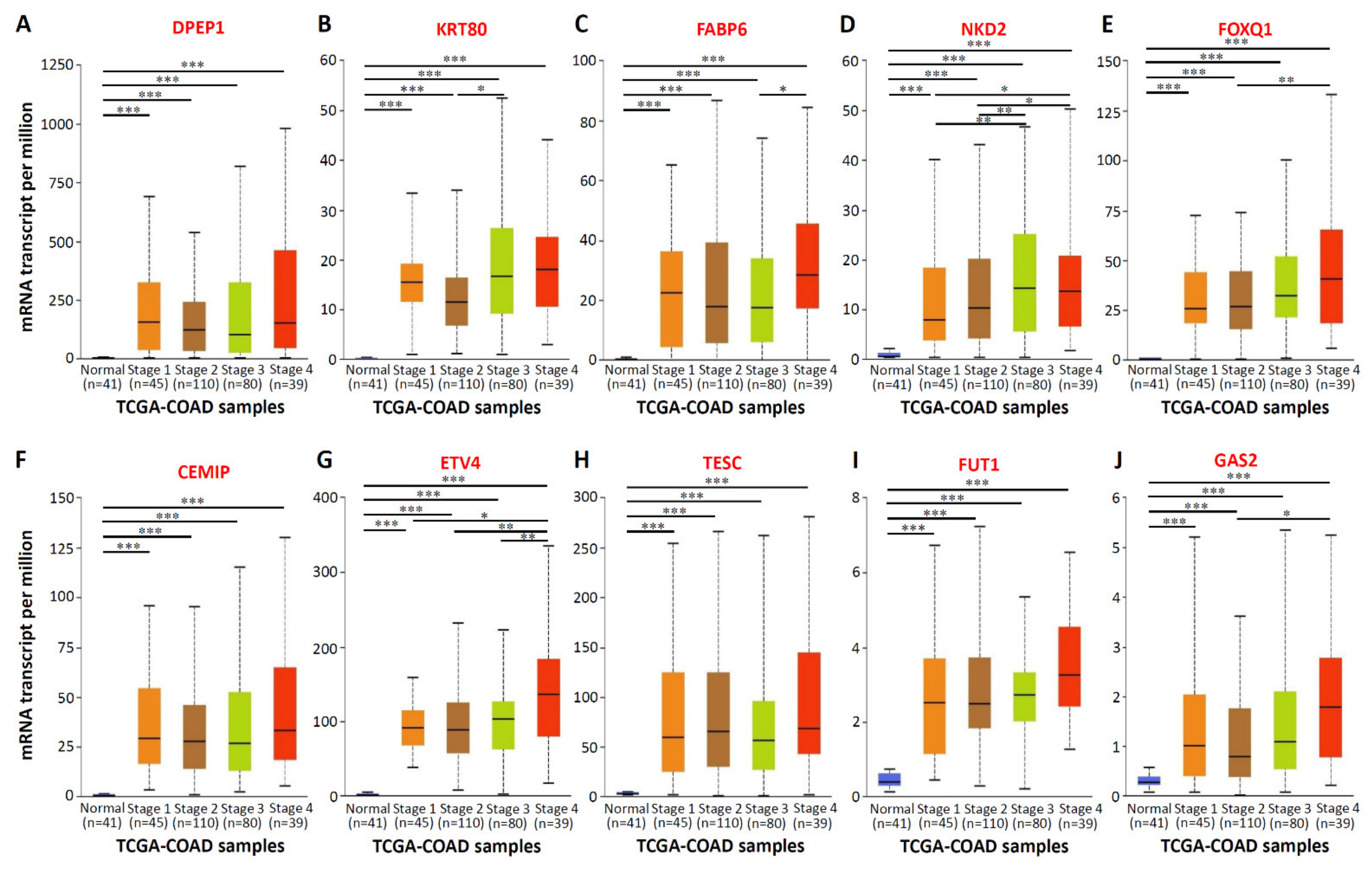 Biomedicines 09 01331 g003