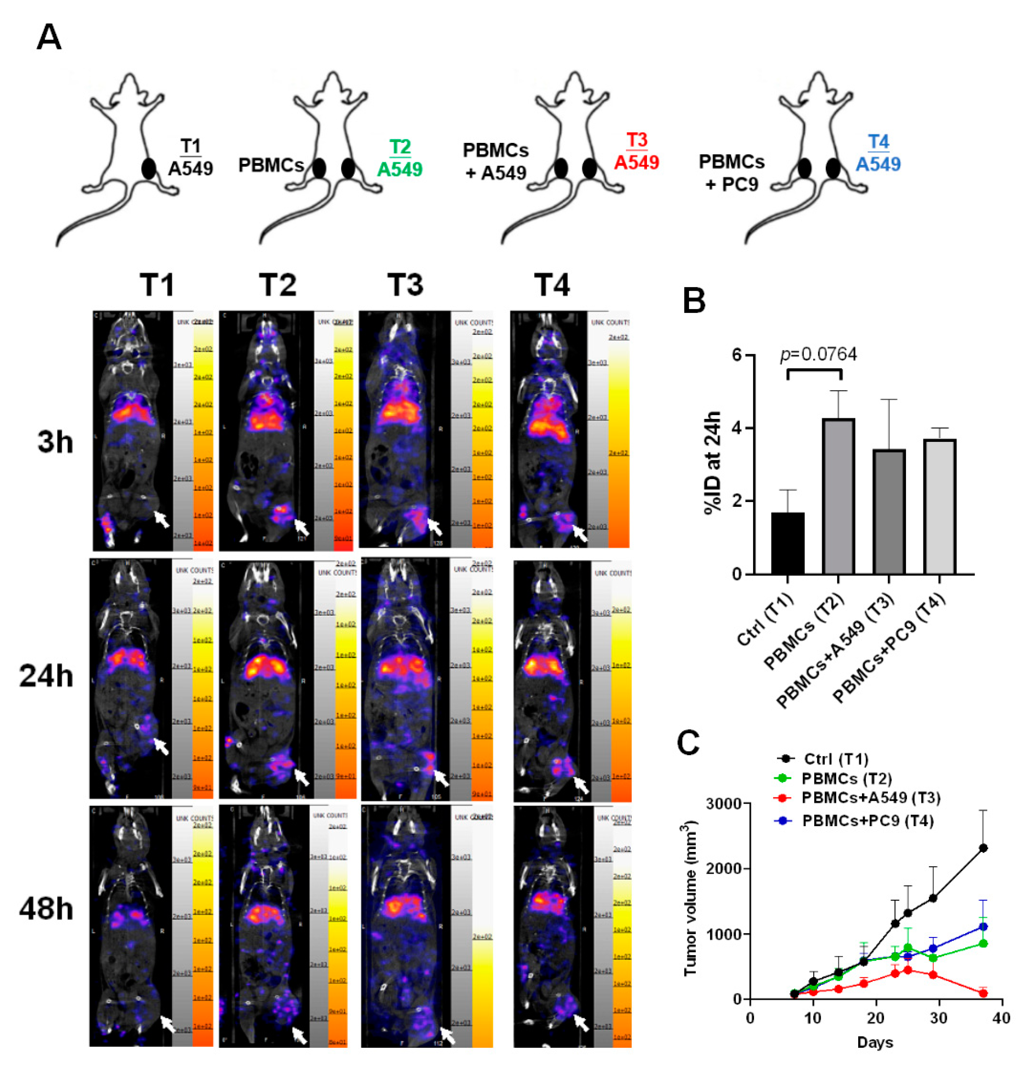 Biomedicines 09 01349 g005