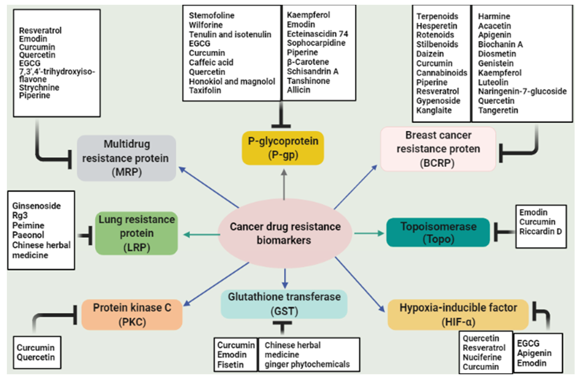 Biomedicines 09 01353 g002 Biomedicines 09 01353 g002