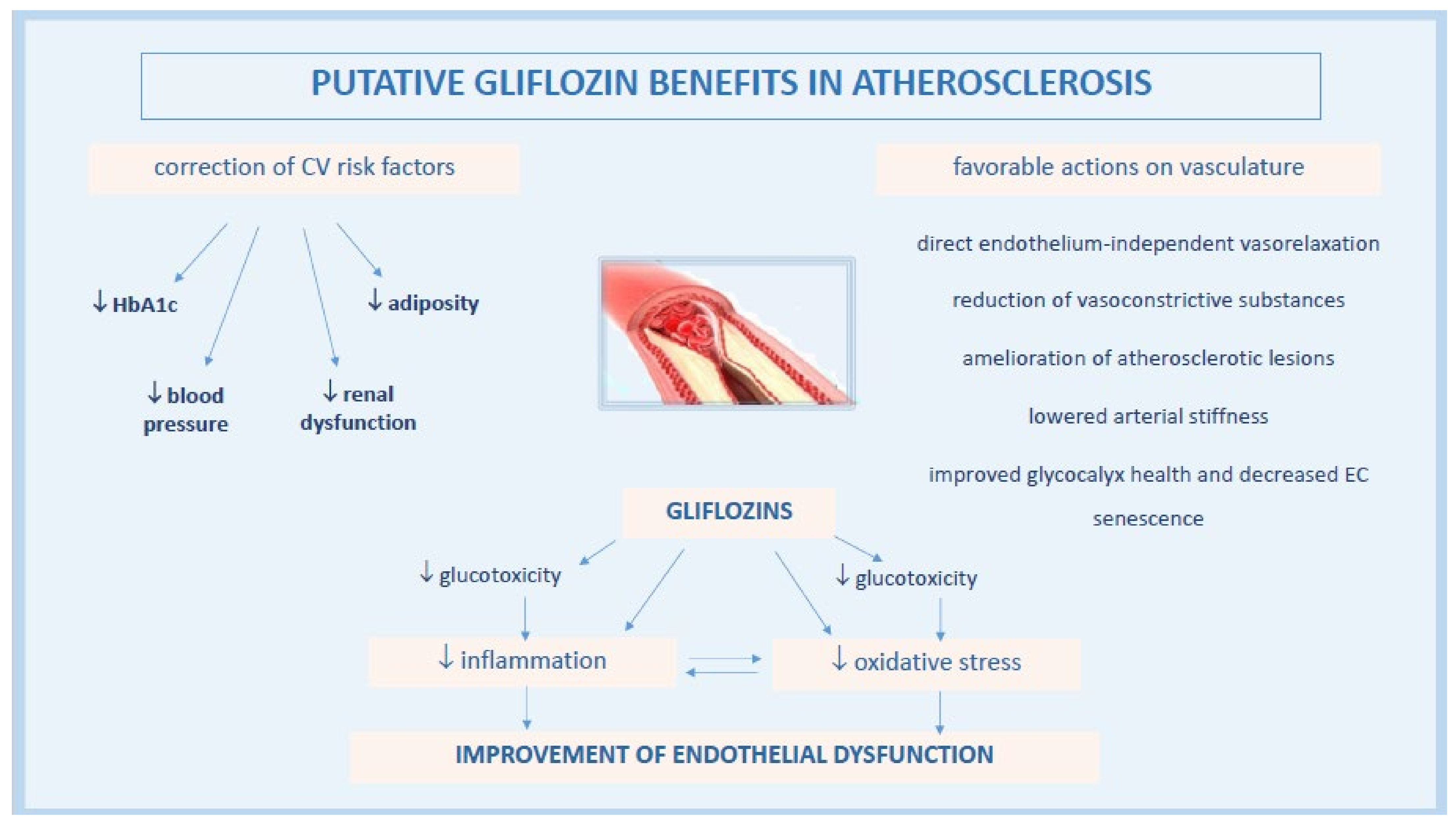 Biomedicines 09 01356 g001