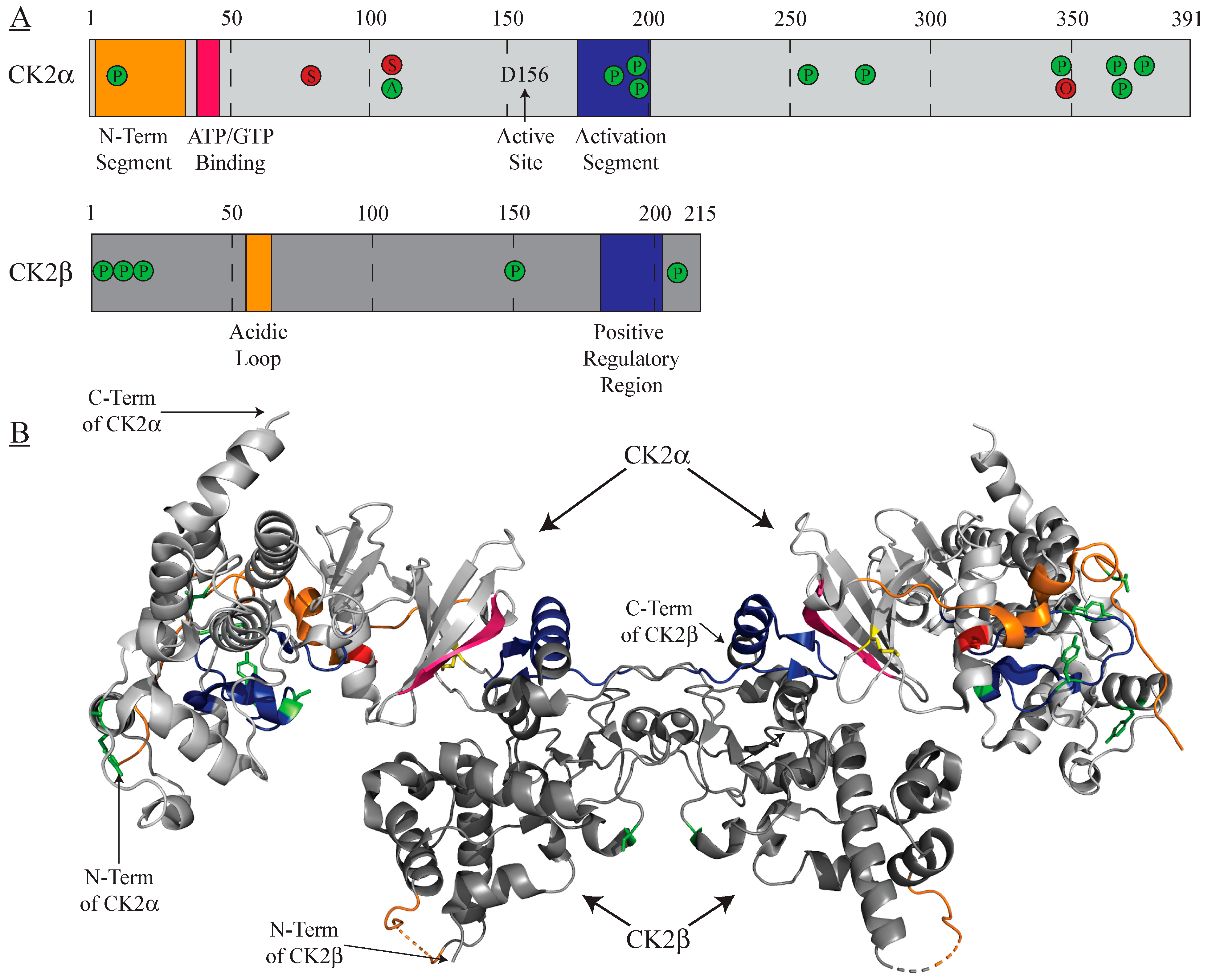 Biomedicines 09 01361 g001