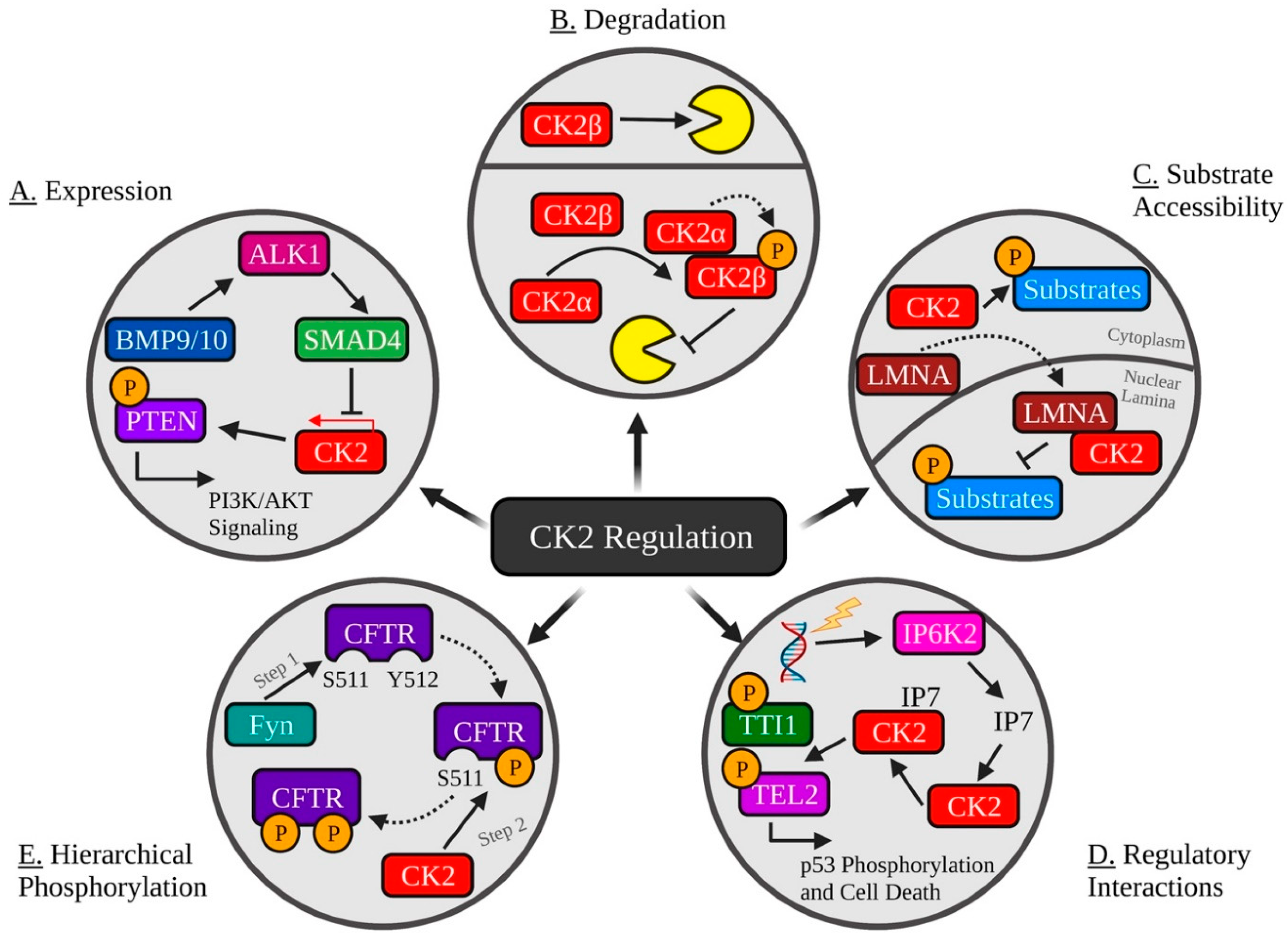 Biomedicines 09 01361 g002