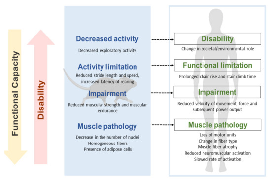 Biomedicines 09 01365 g001