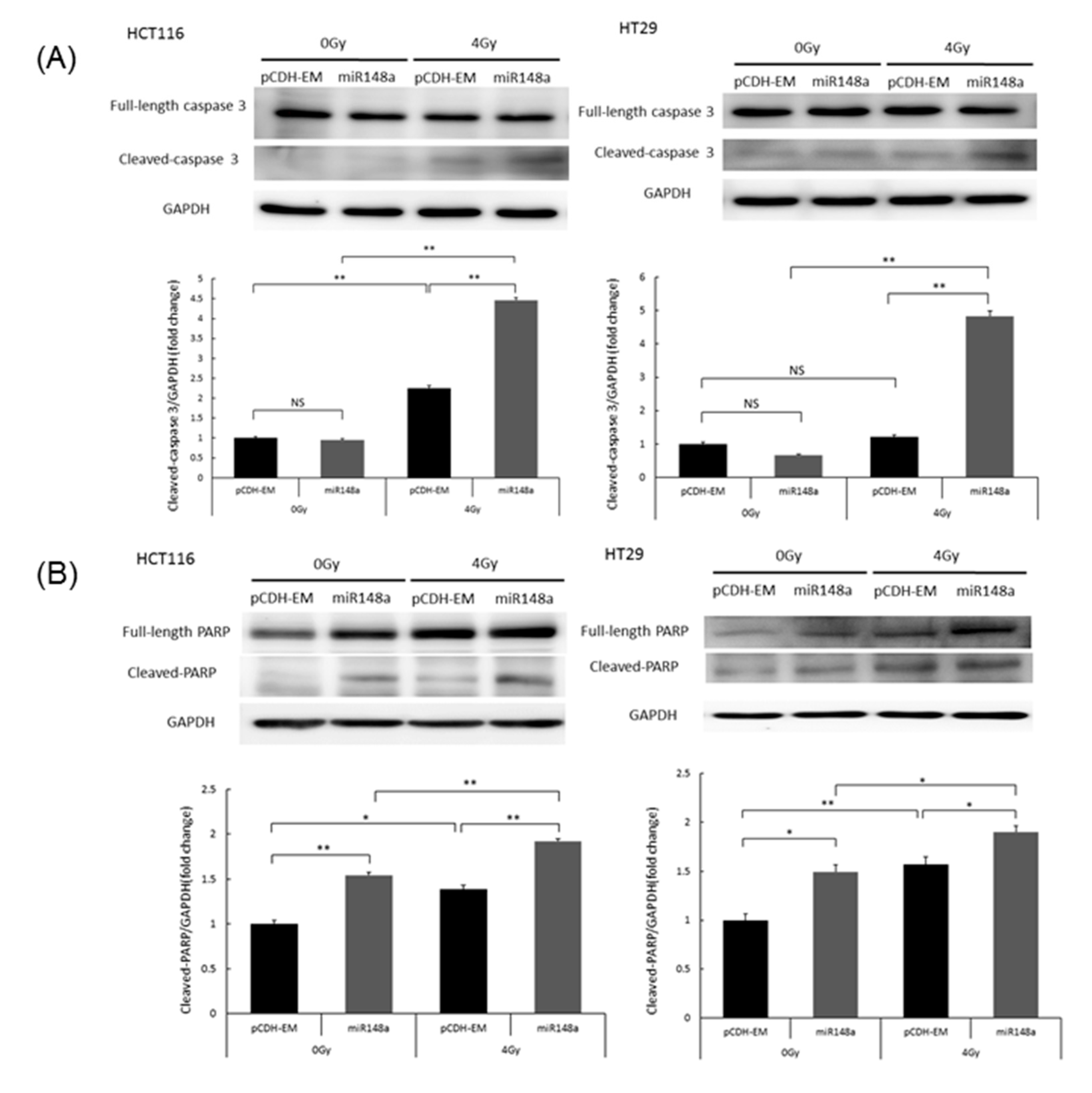 Biomedicines 09 01371 g005