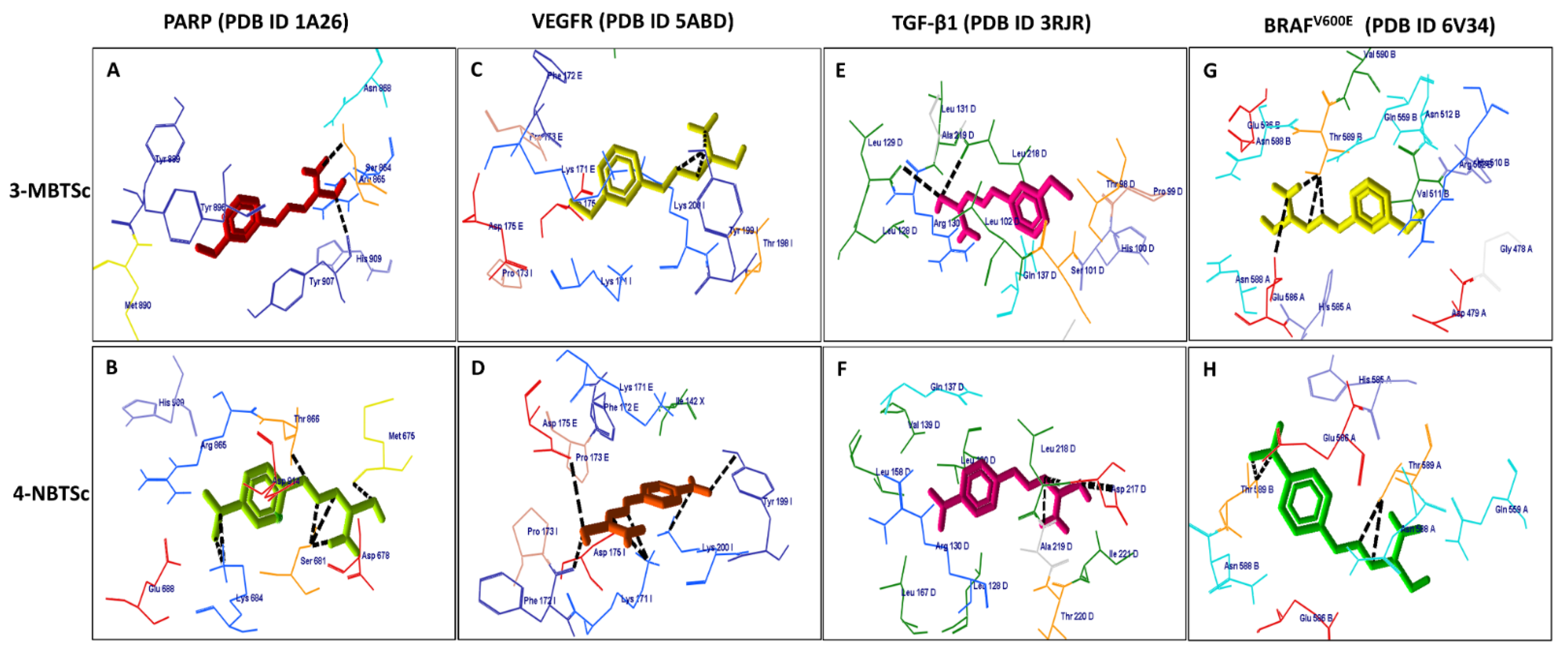 Biomedicines 09 01375 g001