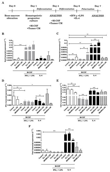 Biomedicines 09 01387 g001 550
