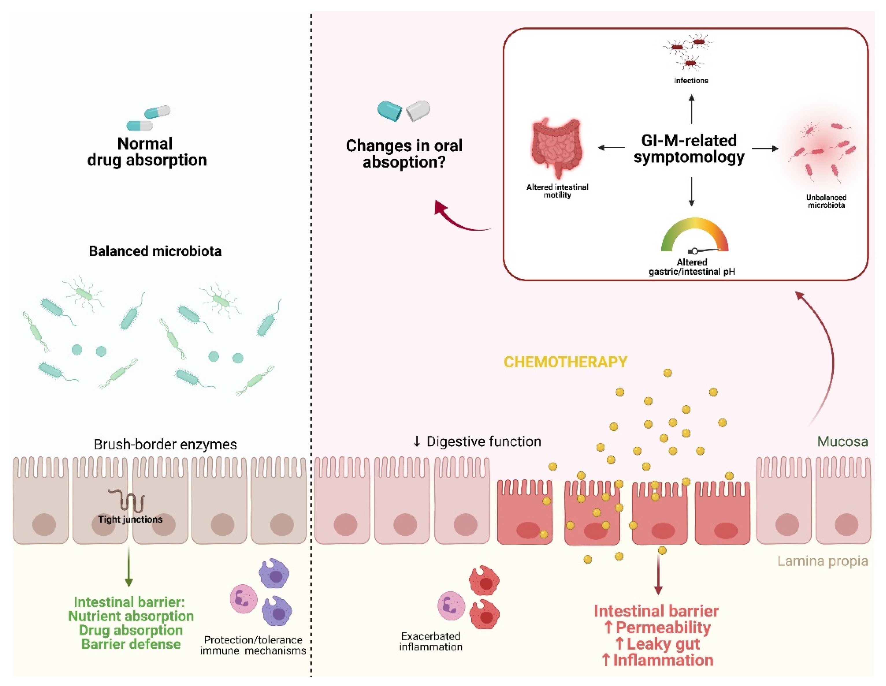 Biomedicines 09 01389 g001