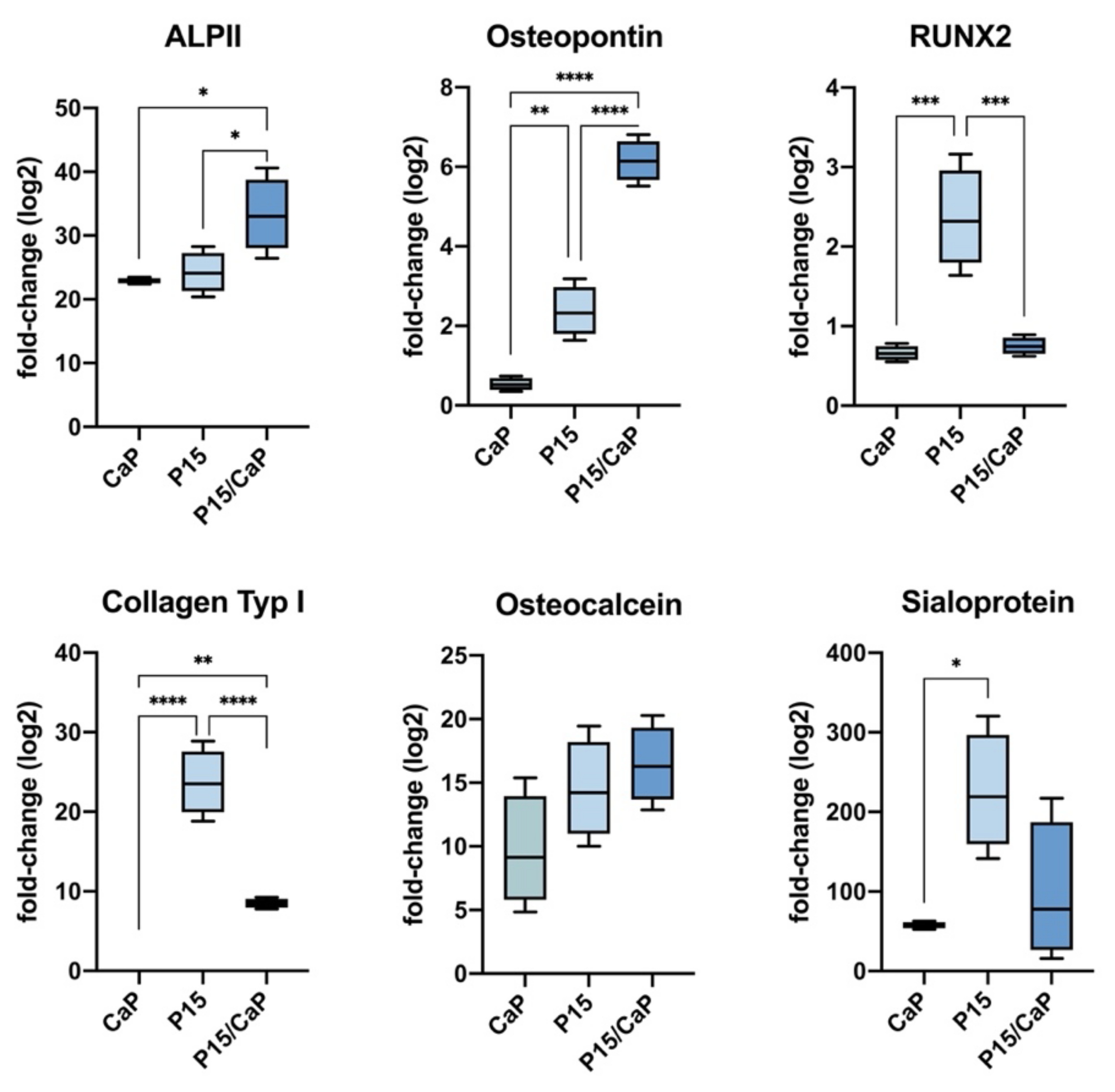 Biomedicines 09 01392 g001