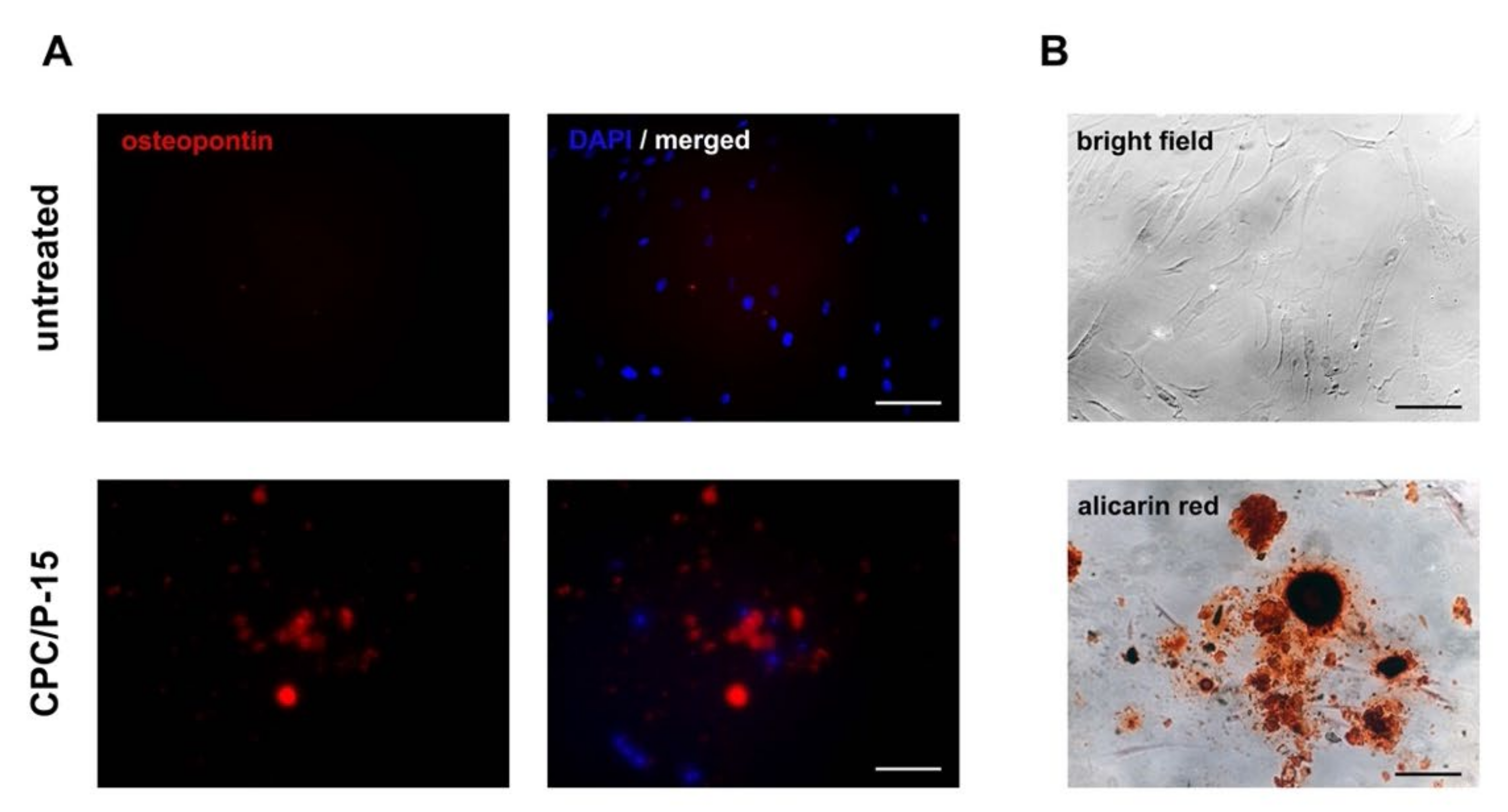 Biomedicines 09 01392 g002