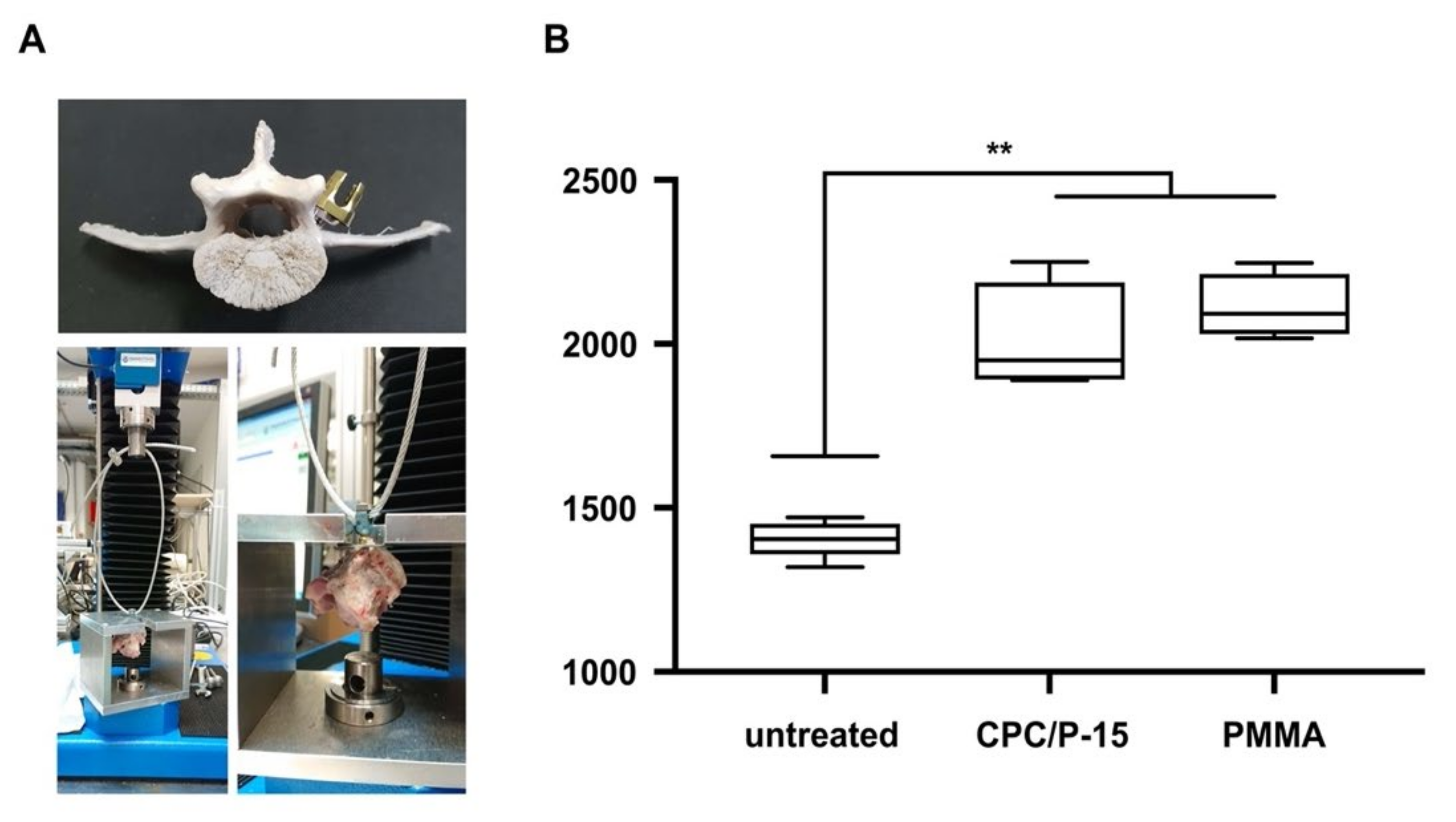 Biomedicines 09 01392 g003