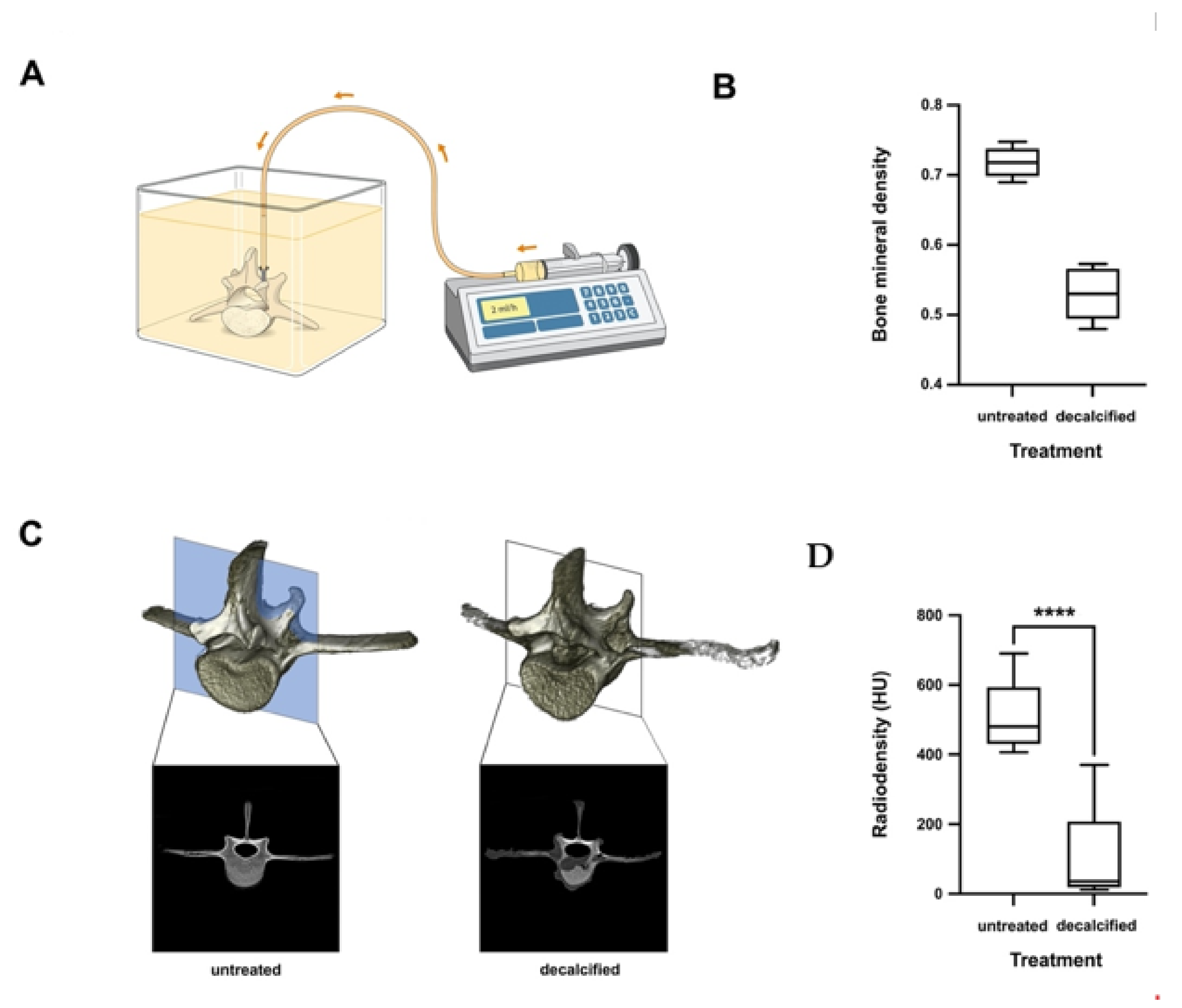 Biomedicines 09 01392 g004
