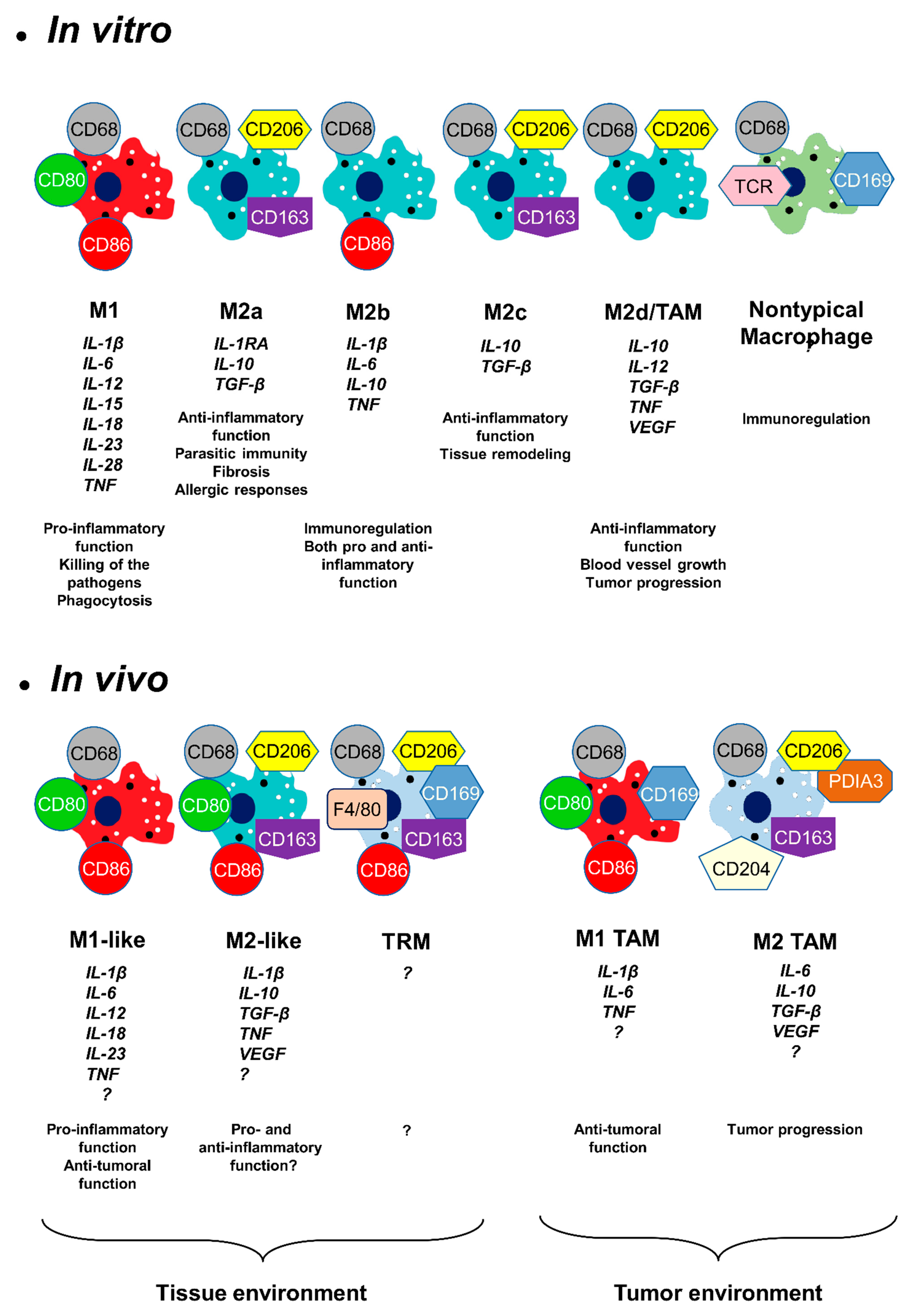 Biomedicines 09 01393 g001