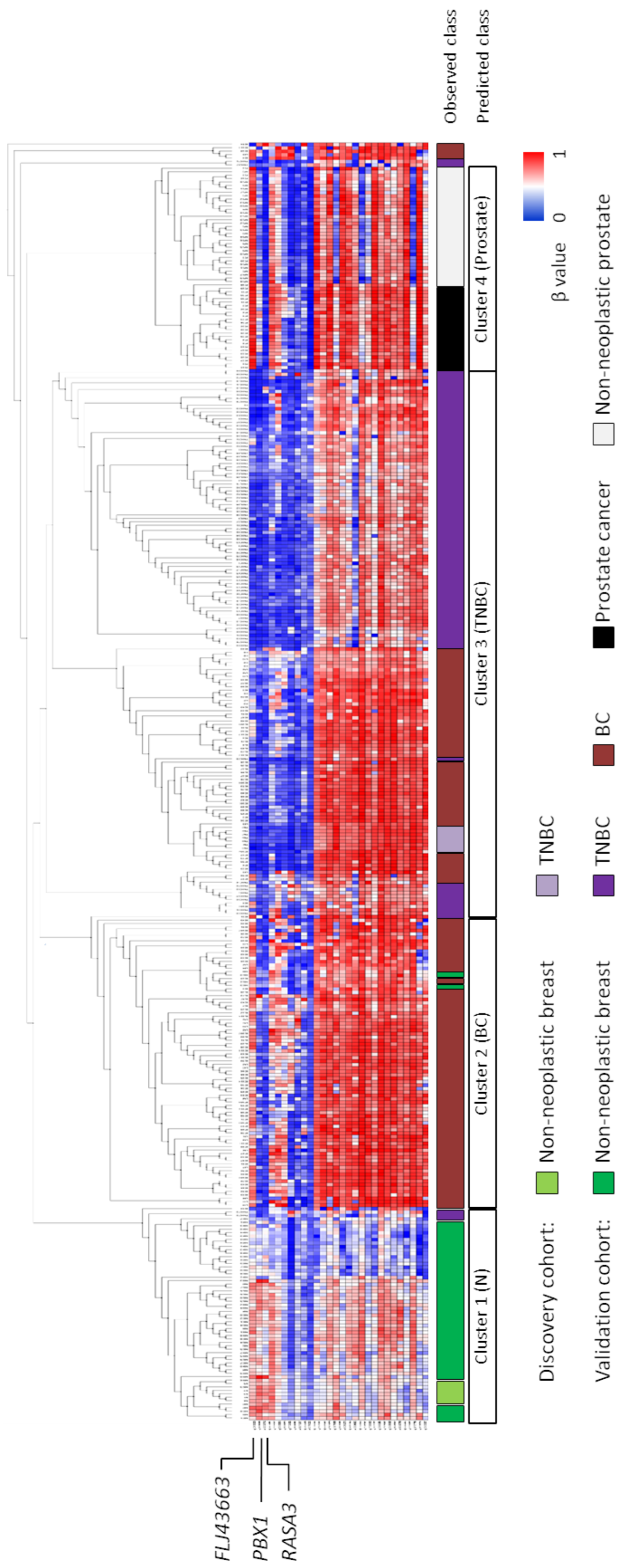 Biomedicines 09 01394 g002