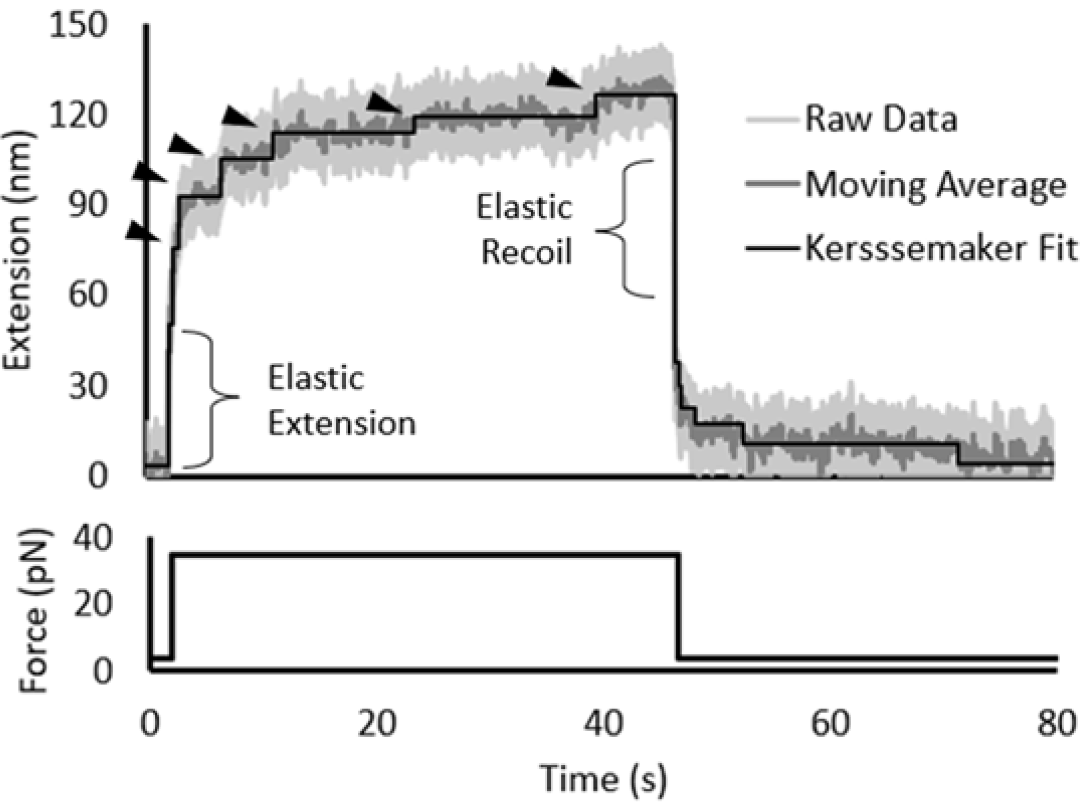 Biomedicines 09 01395 g002