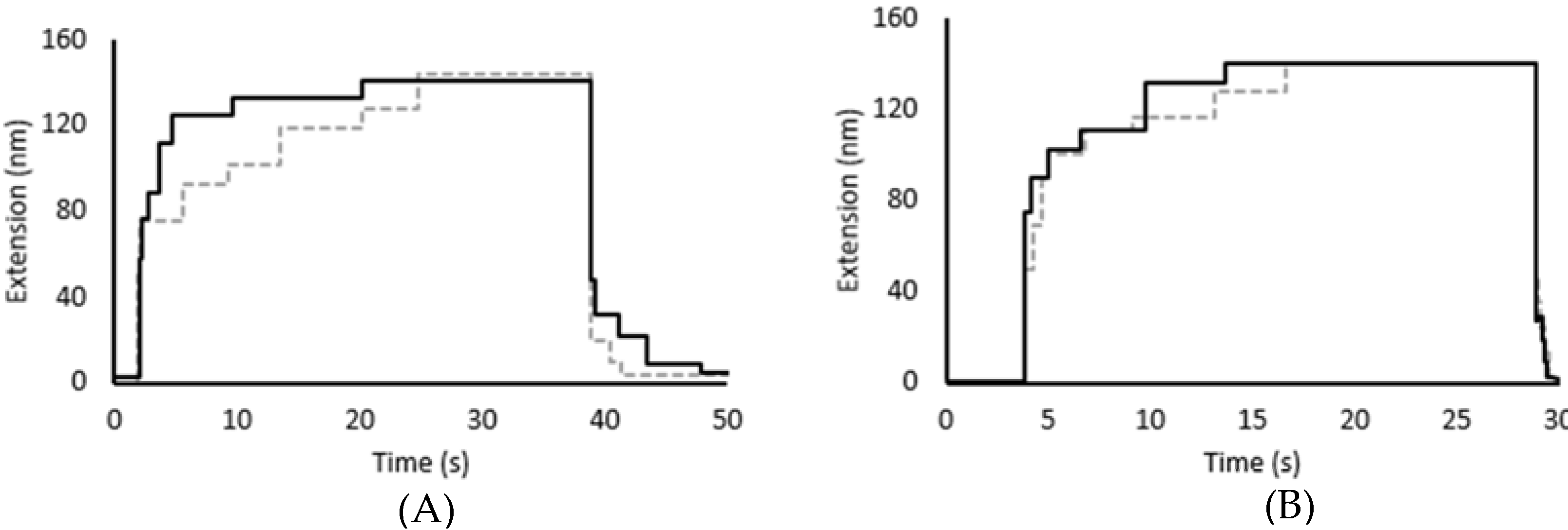 Biomedicines 09 01395 g003