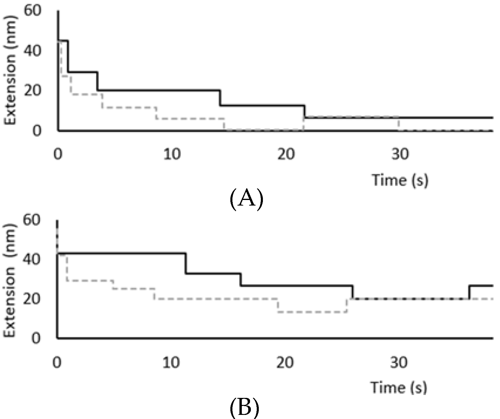 Biomedicines 09 01395 g005