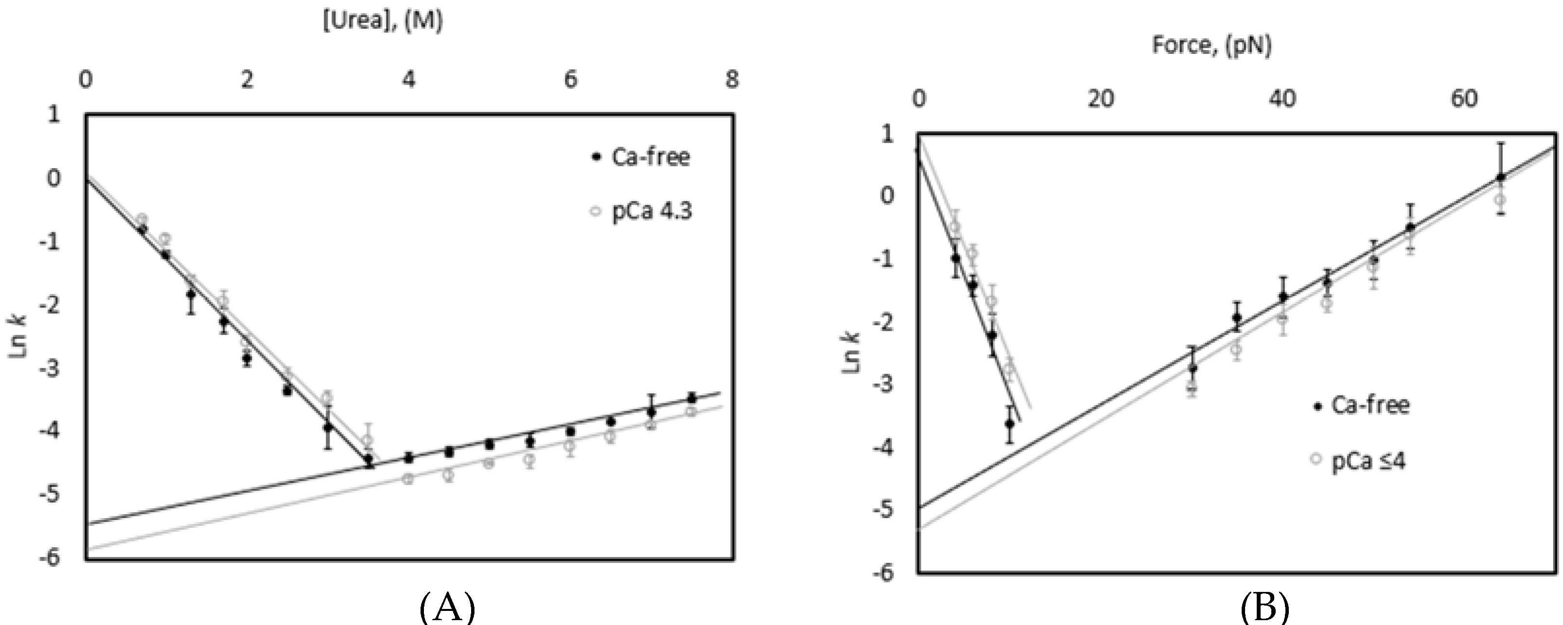 Biomedicines 09 01395 g006
